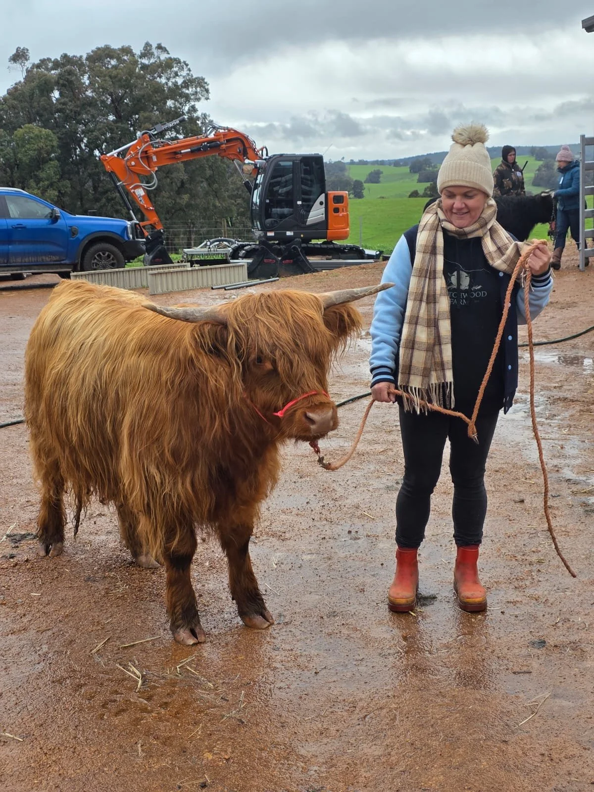 A woman holding a rope leading a Highland cow with long horns at a farm. In the background are two others, one with a horse and the other with a dog, with trees and a cloudy sky.