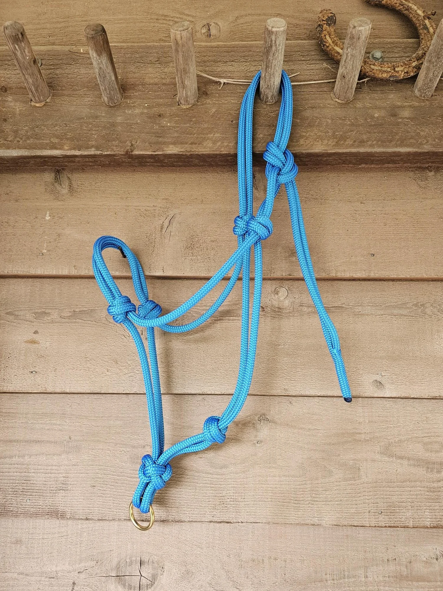 Adult Cow halter.jpg