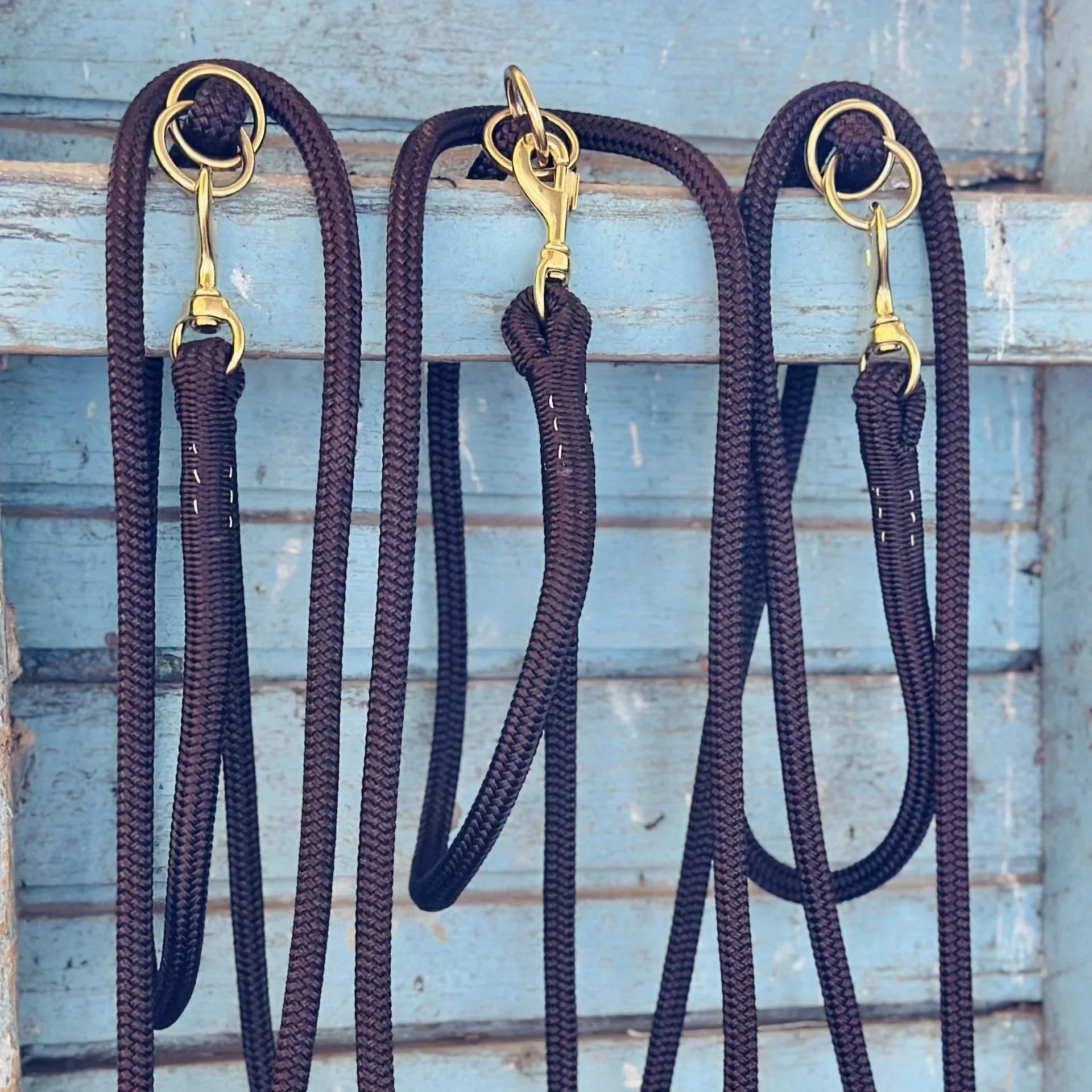 Lead+ropes.jpg