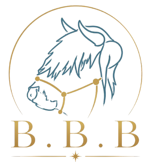 Bree's Bovine Behaviour | Cattle Handling &amp; Halters