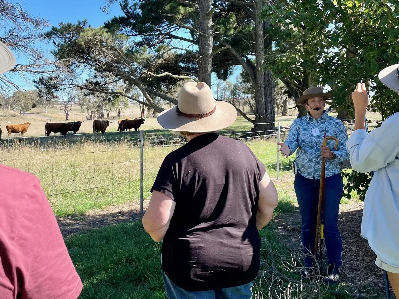 A woman with a microphone and her hand raised, giving a tour or talk to a group of people at a cattle farm. Several people are visible from behind, and they are wearing hats. In the background, there are cows grazing and trees, under a clear blue sky.