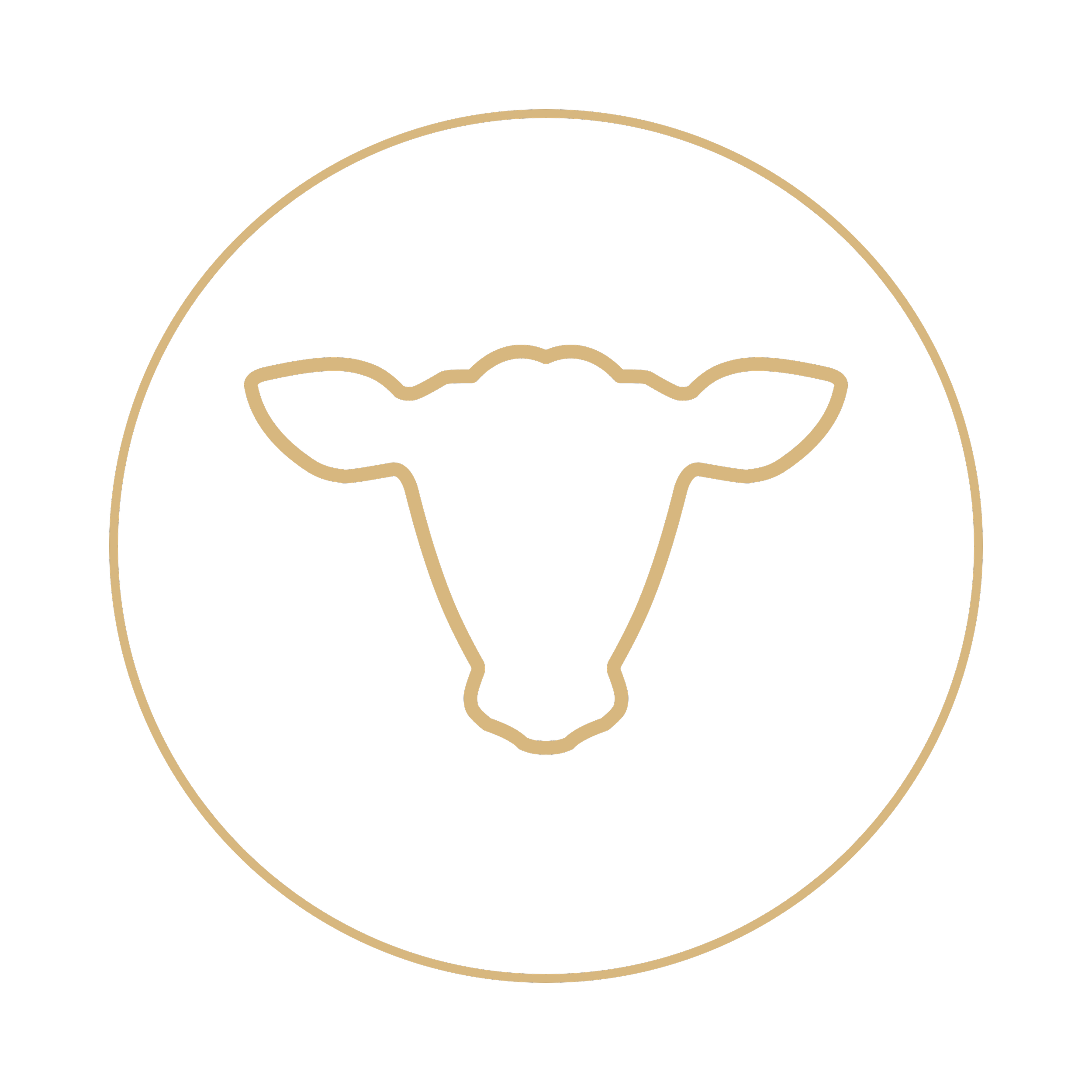 Neon outline of a bear's face on a black background.