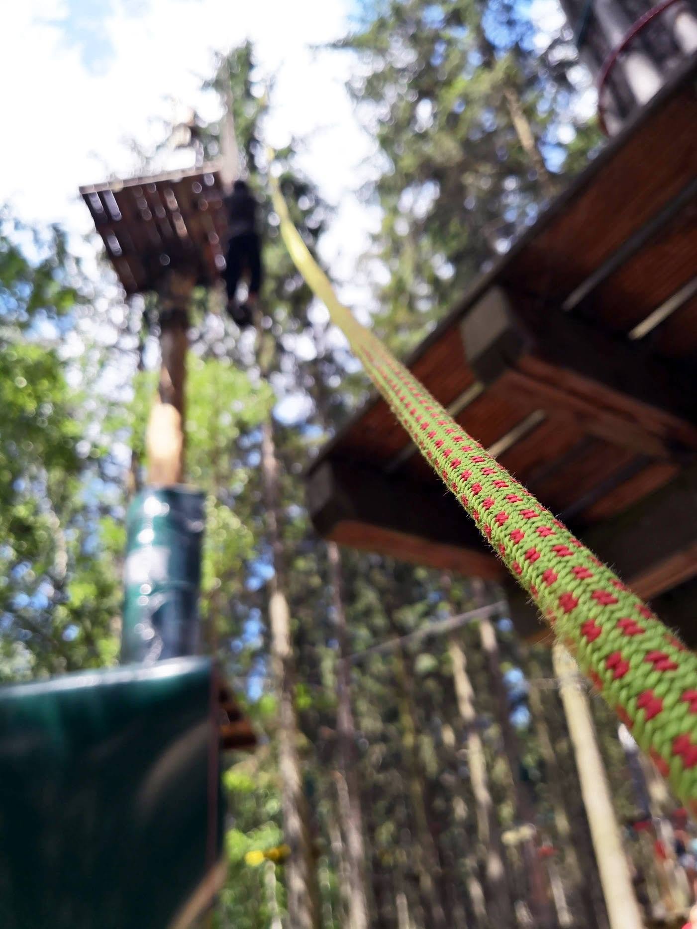 liros-ropes-arborist-forest