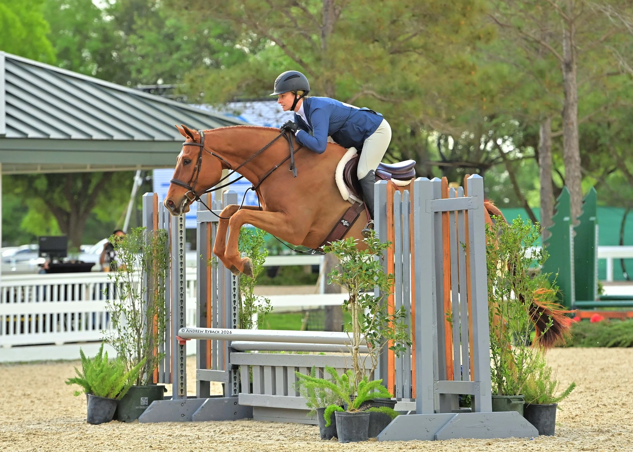 A female equestrian rider wearing a helmet and riding jacket jumps a horse over an obstacle in a show jumping event at an outdoor arena, surrounded by trees and fencing.