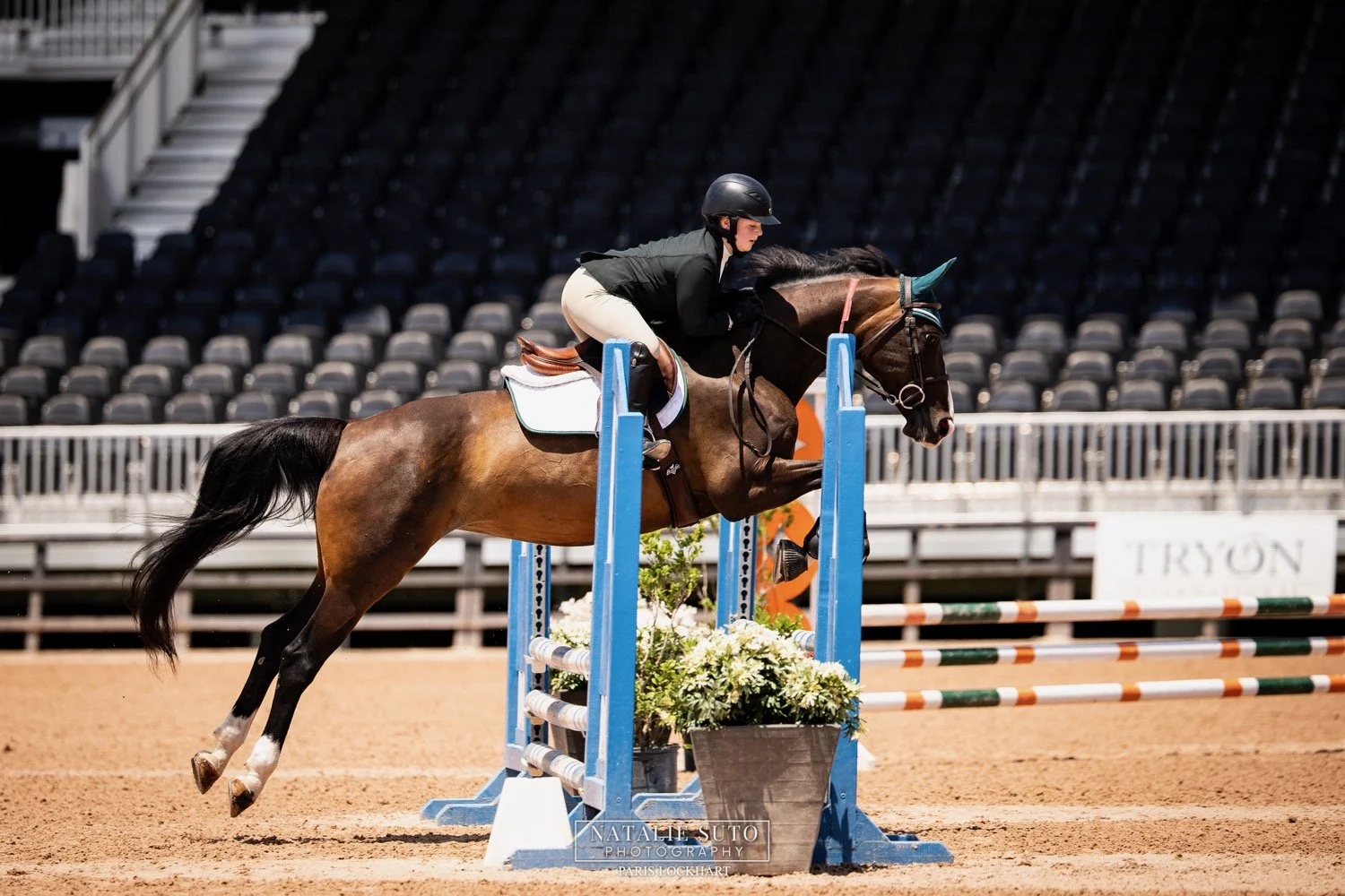 A rider and horse jumping over a blue obstacle at an indoor equestrian event, decorated with white flowers.