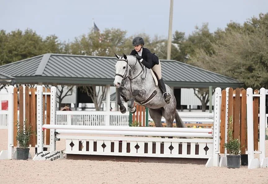 A young female equestrian in riding attire jumping over a hurdle on a gray horse at an outdoor riding arena.