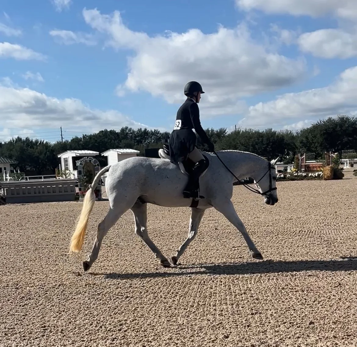 A rider wearing a helmet and dark outfit riding a gray horse on a sand arena, with a backdrop of blue sky, white fluffy clouds, trees, and small buildings.
