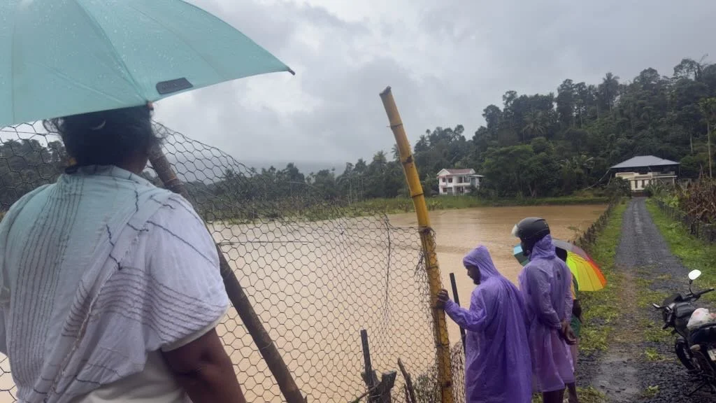 Heavy Rains in Wayanad