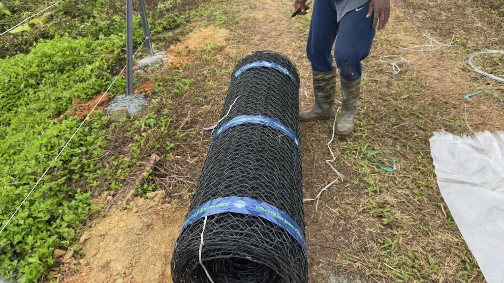 Fencing the entire property