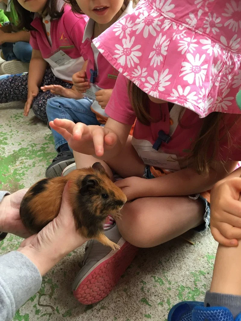 Crianças sentadas no chão observando uma criatura de estimação, um hamster marrom com manchas pretas, sendo segurada por uma pessoa.