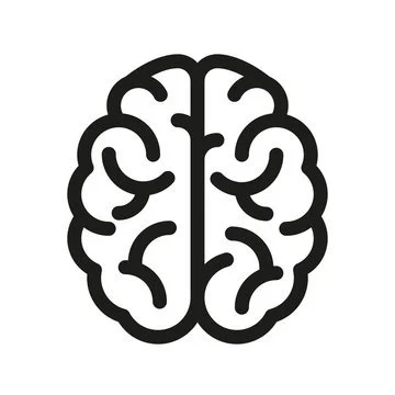 Line drawing of a human brain.