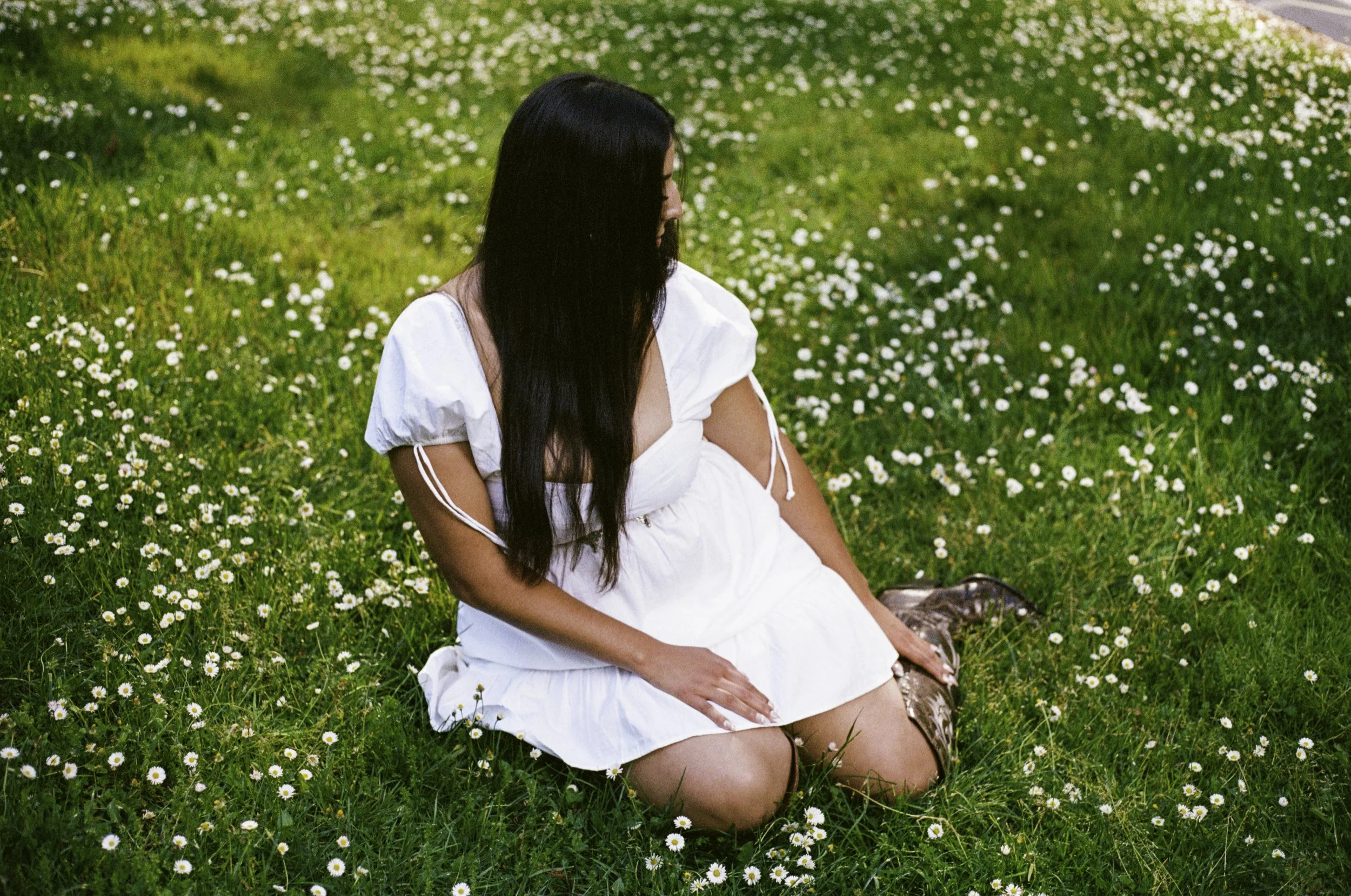 Lily-3.jpg