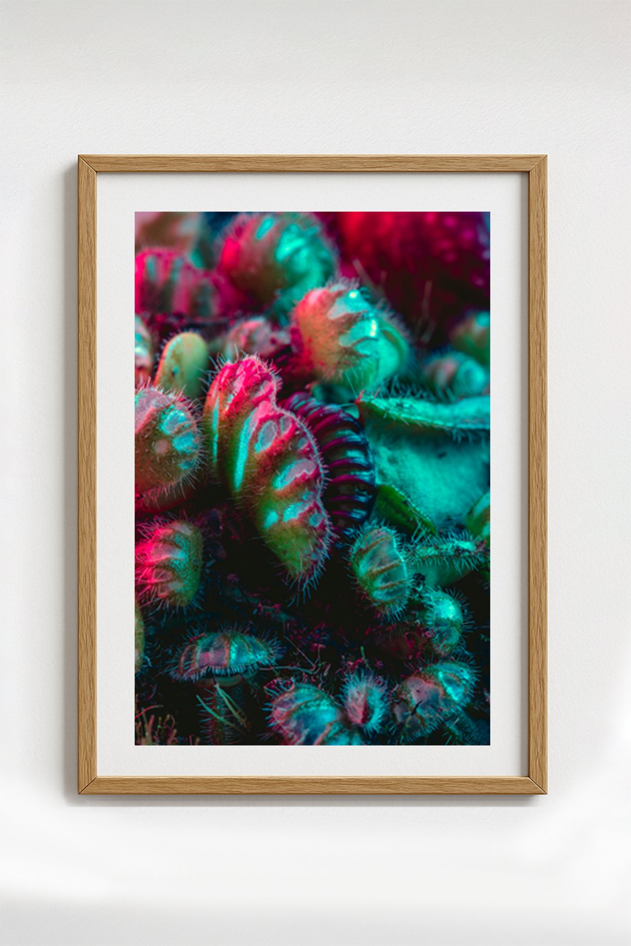 glitch garden framed.jpg