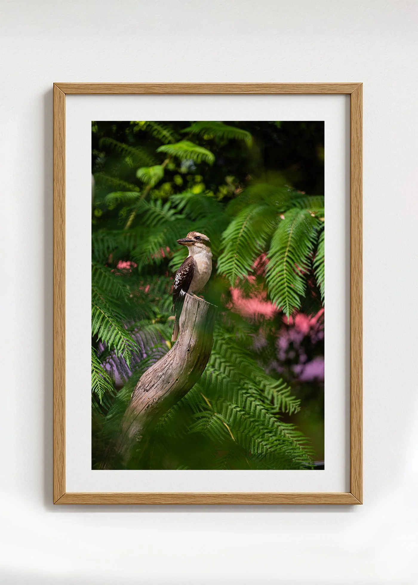 Sentinel of the ferns framed.jpg