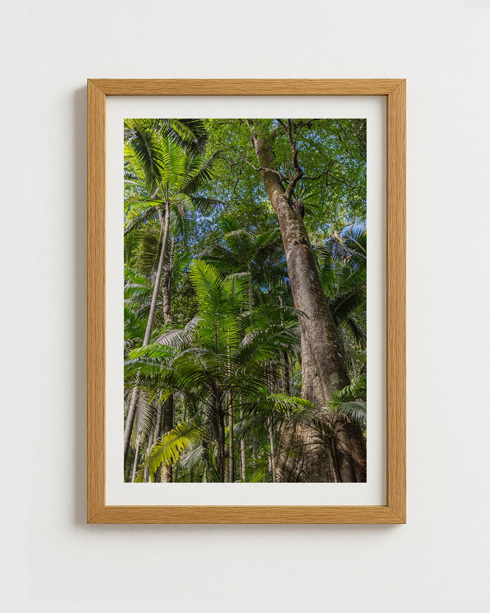 forest fortress framed\.jpg
