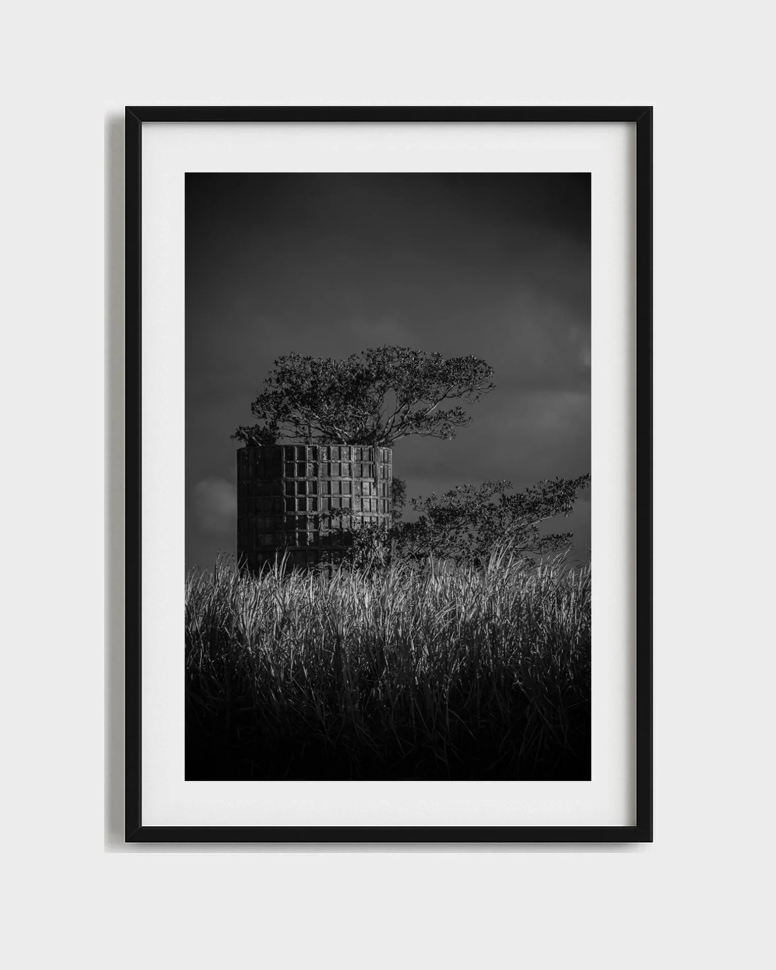 the watcher framed.jpg