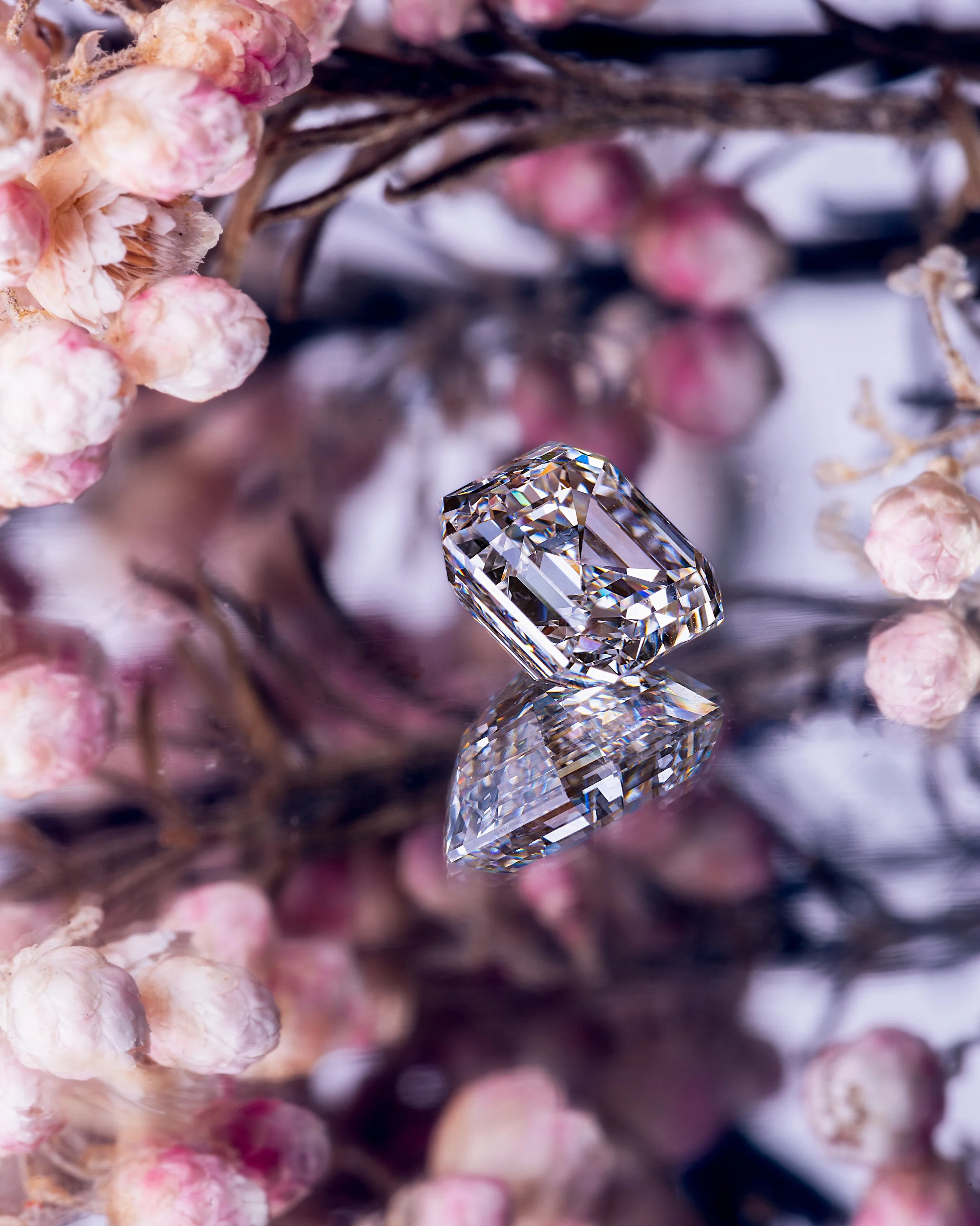DIAMONDSPLUSNOLOGOINSTAFIRST-2.jpg