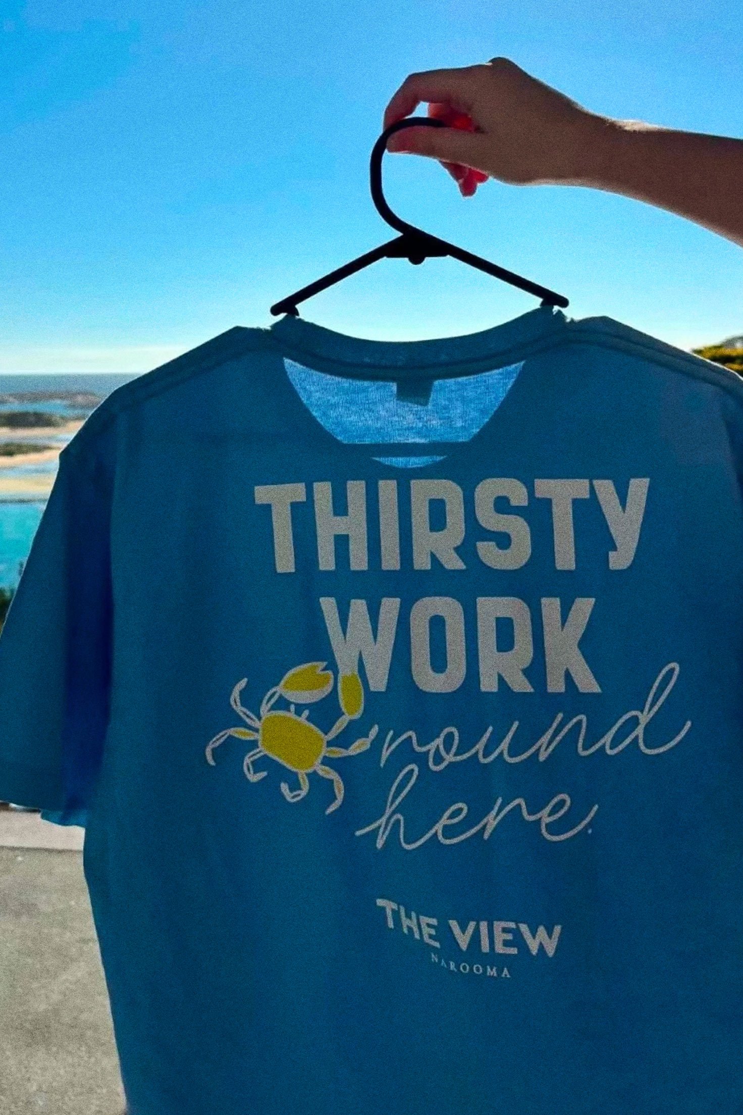 The-view-narooma-thirsty-work-tee-back-02.jpg