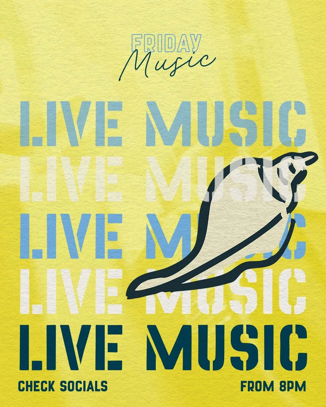 Narooma’s Live Music