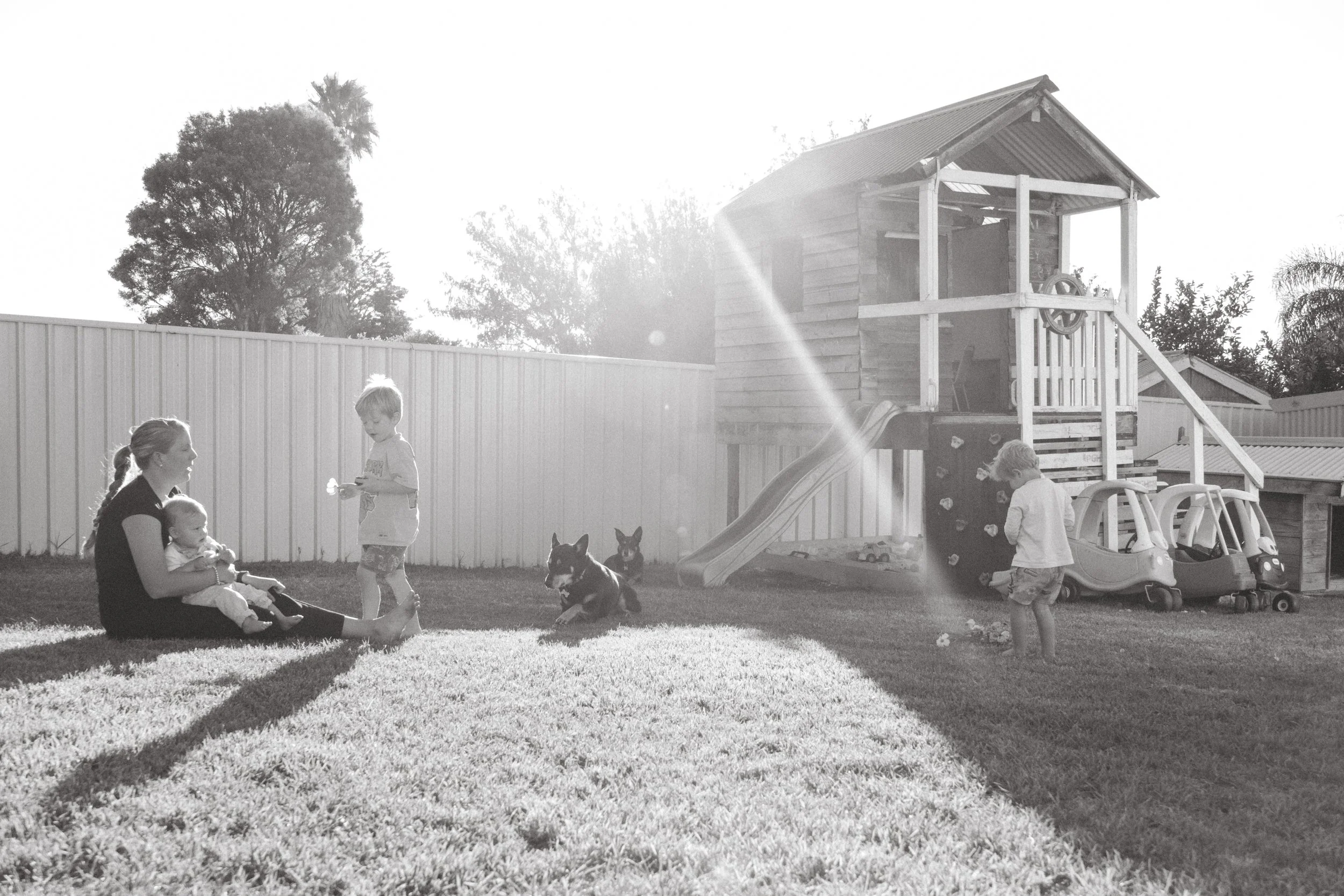 A backyard scene with children and a woman, two dogs, a playhouse with a slide, and a toy car, all illuminated by sunlight.