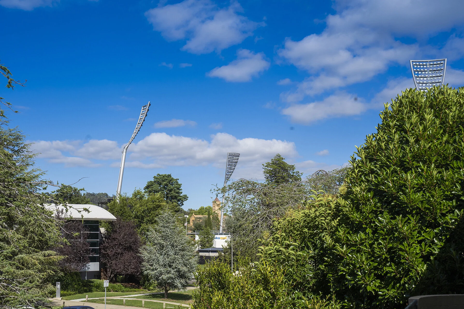 A park scene with multiple tall light poles and a variety of green trees under a bright blue sky with scattered clouds.