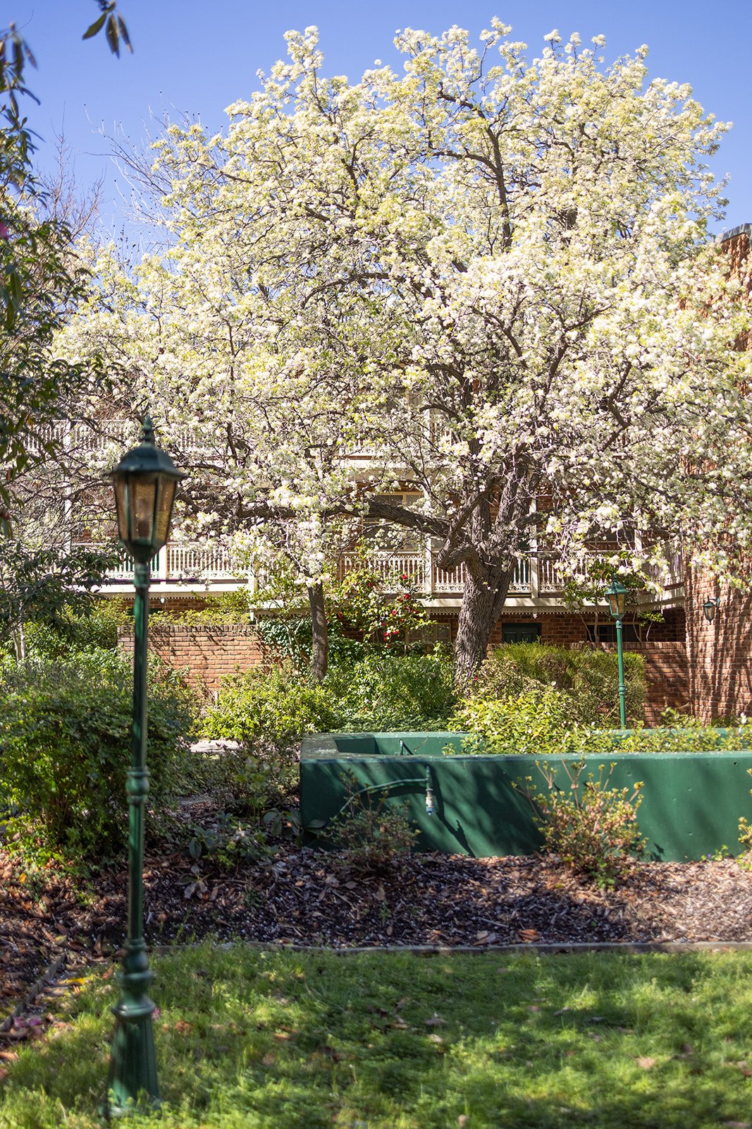 Manuka Park 2026-2.jpg