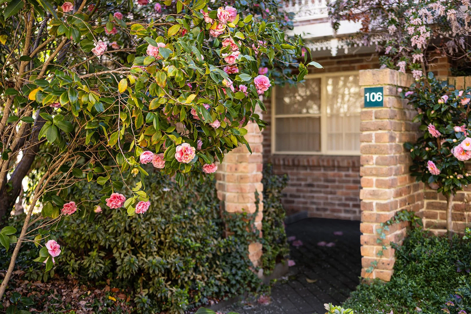 Manuka Park 2026-4.jpg