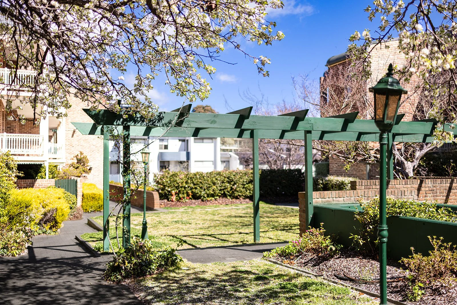Manuka Park 2026-6.jpg