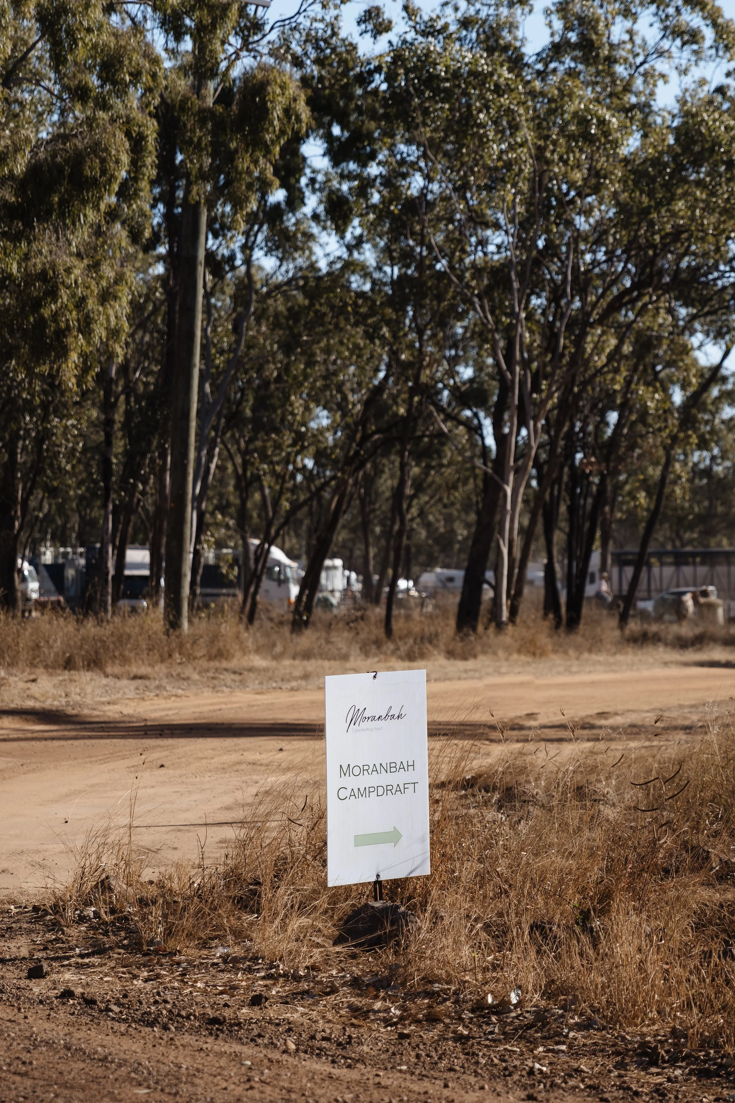 Outdoor scene with a sign that says "Moranbah Campdraft" and an arrow pointing to the right, set on a dirt path with trees in the background.