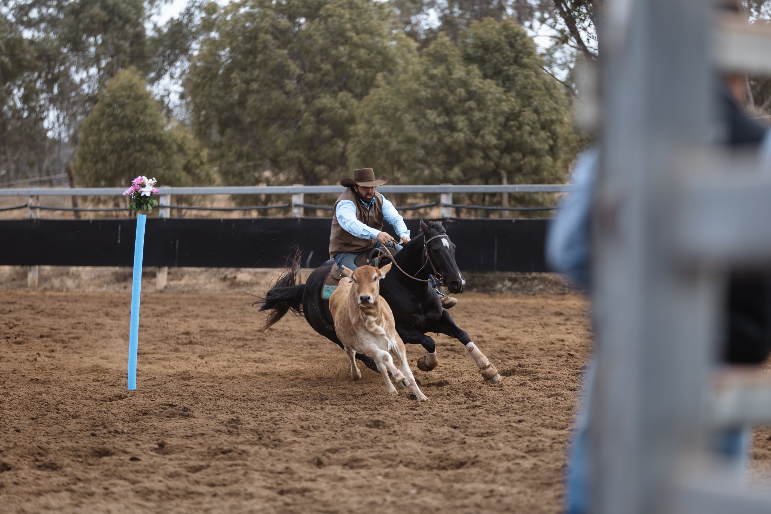 A man wearing a cowboy hat and Western-style clothes riding a horse in a rodeo arena, with a dog running alongside, and a bleacher with pink flowers and trees in the background.