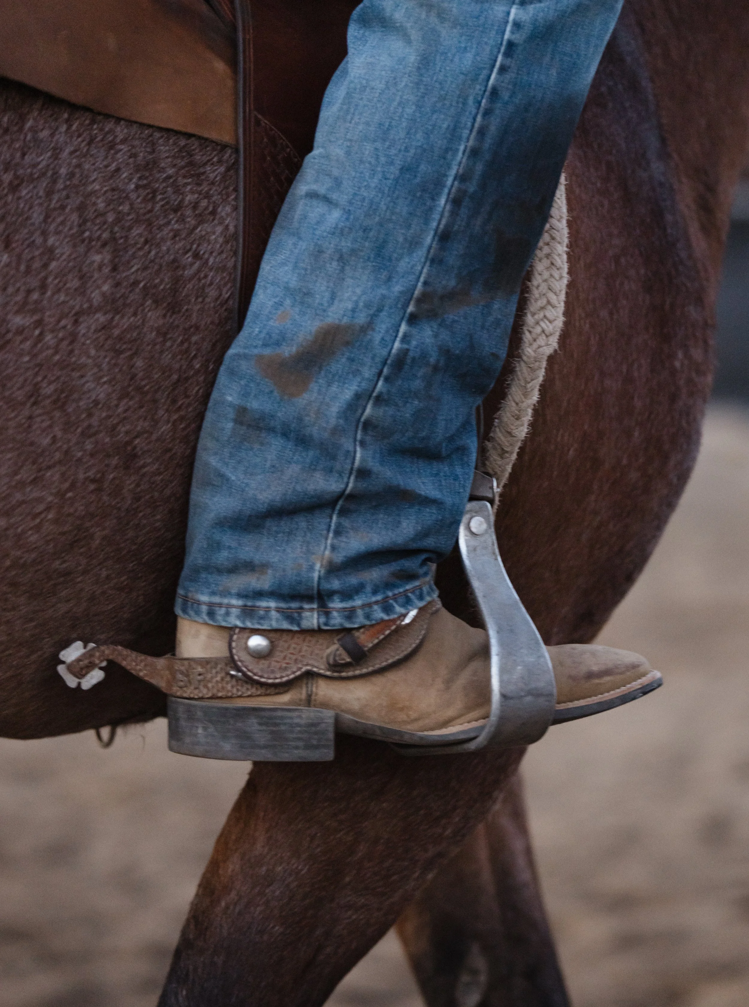 Close-up of a person's leg in blue jeans, a brown leather boot, and a riding saddle on a horse.