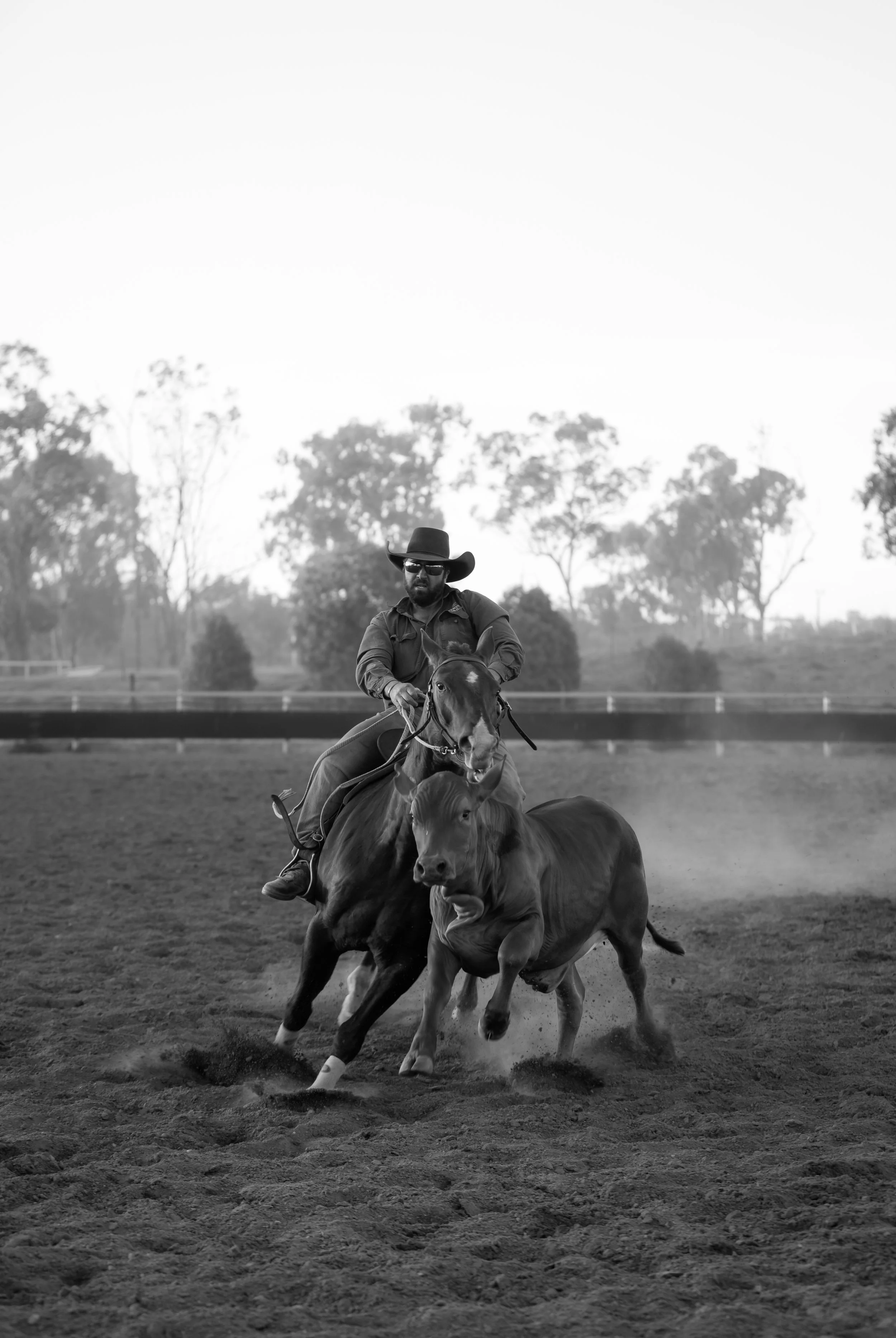A man riding a horse at a rodeo, accompanied by a steer on a dirt arena.