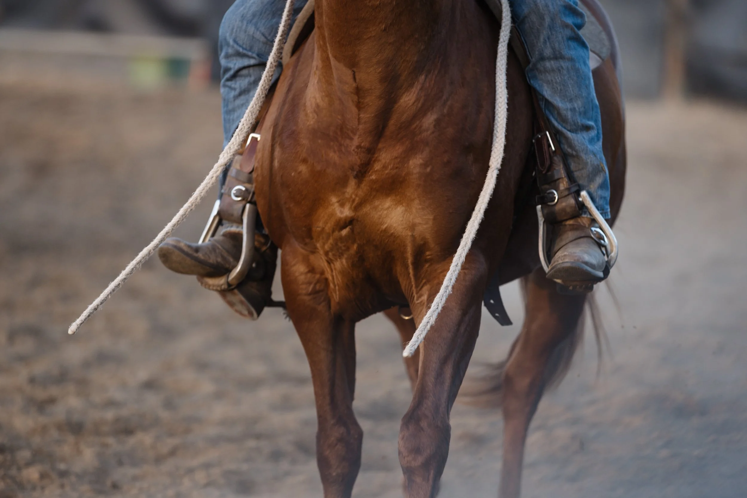 A person riding a brown horse, wearing jeans and riding boots, with a saddle and reins, on a dirt or sandy surface.