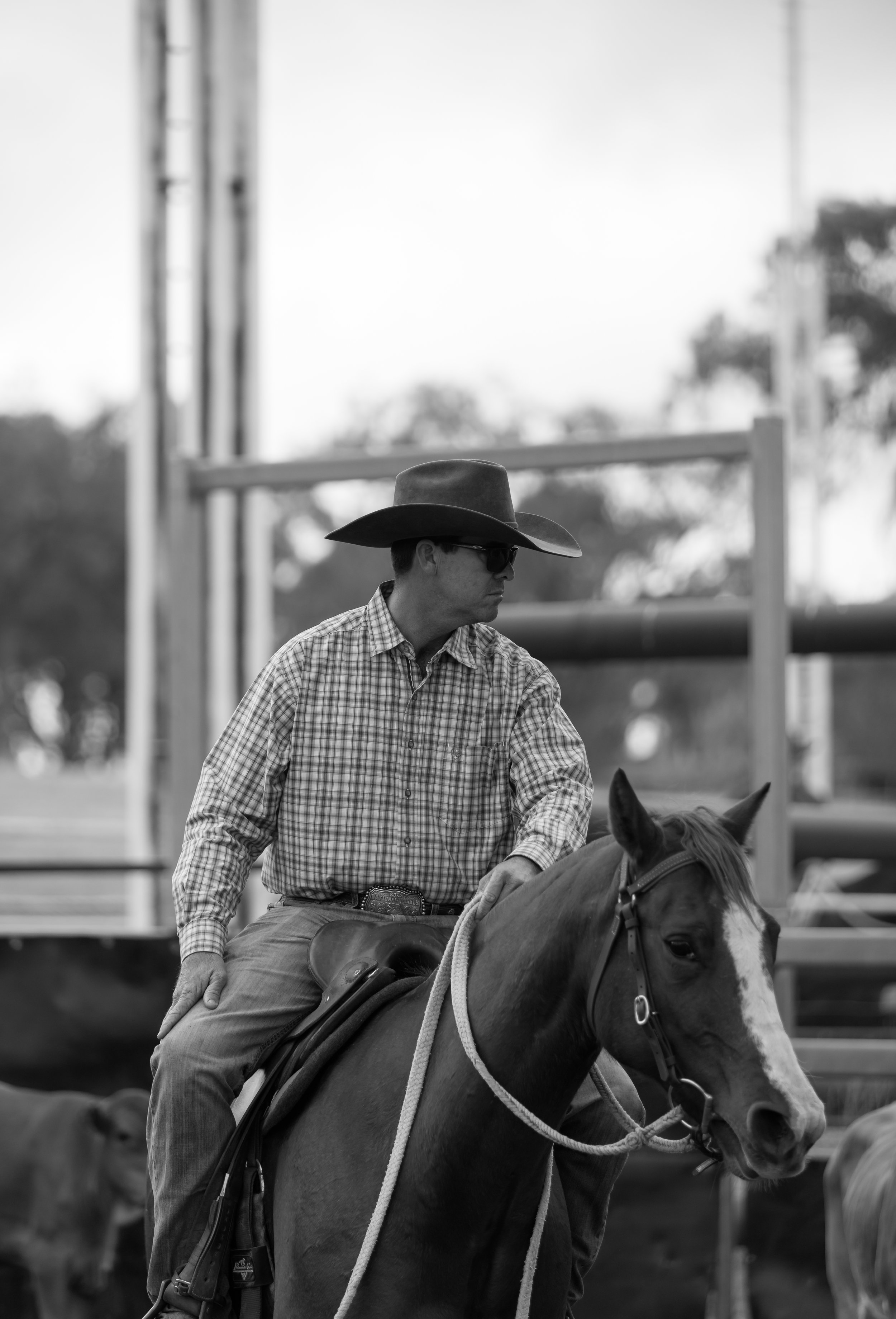 A man in a plaid shirt and sunglasses riding a horse, wearing a cowboy hat, in an outdoor setting with a blurred background.