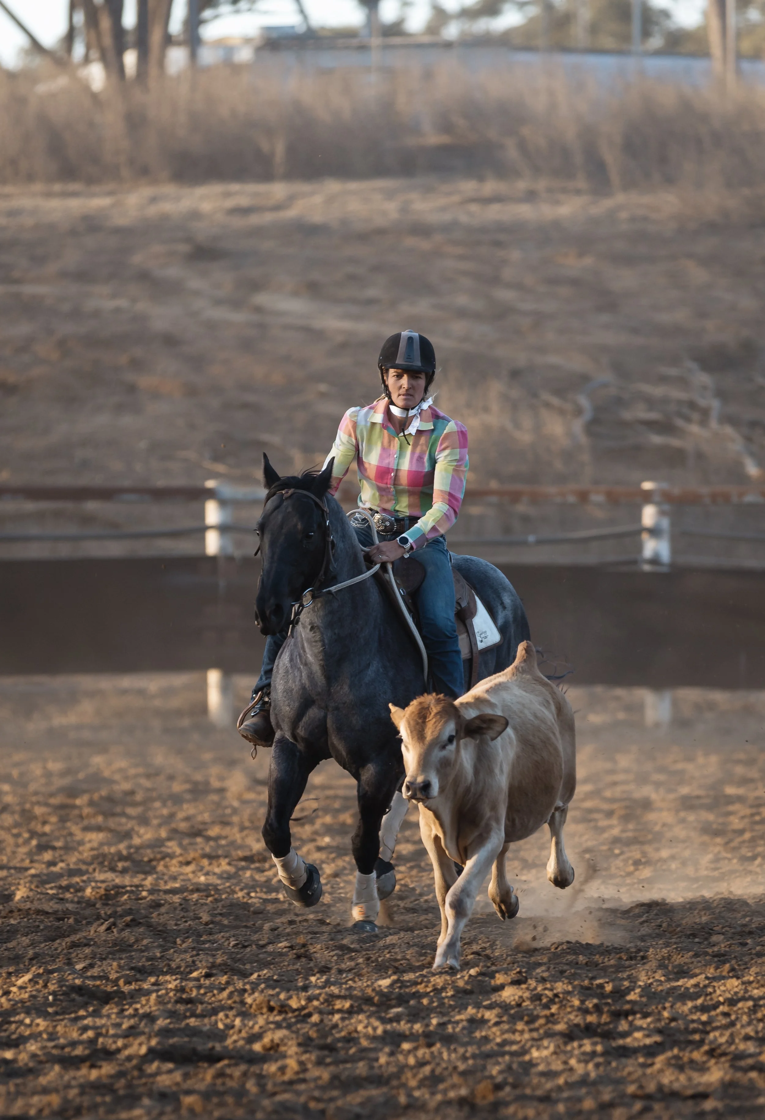 A woman riding a black horse in a dirt arena, wearing a helmet and a colorful plaid shirt, with a light-colored calf running alongside her.