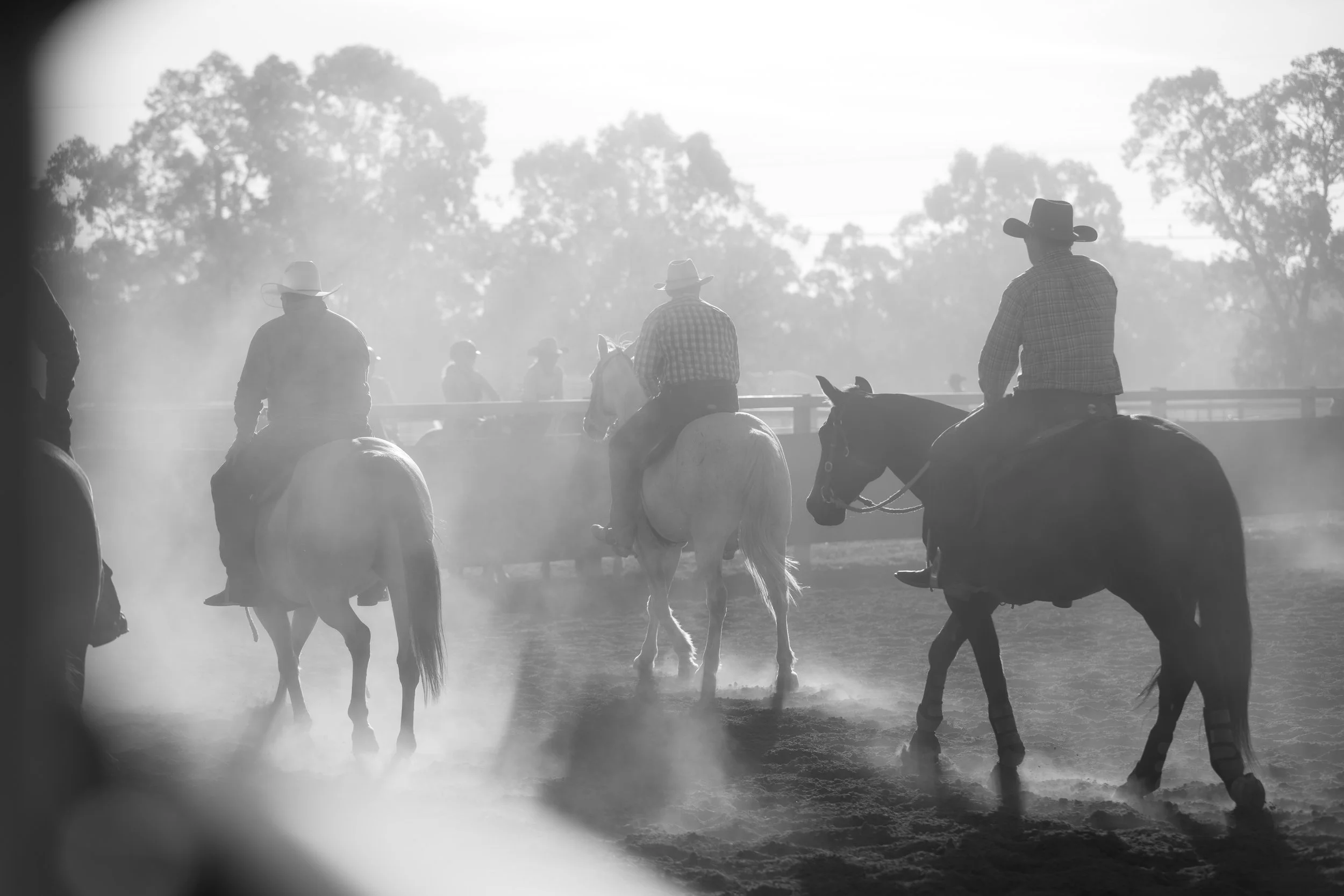 Silhouettes of people riding horses in a dusty outdoor arena with trees in the background.