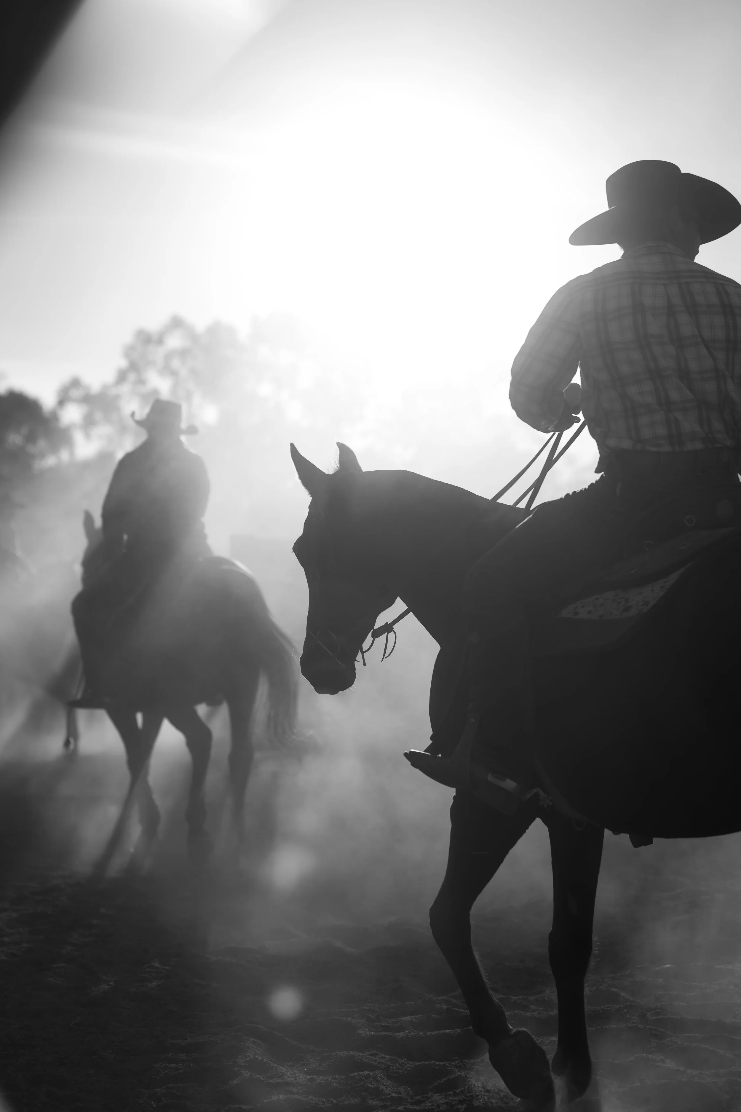 Silhouettes of cowboys riding horses through a dusty landscape at sunset, with trees in the background in black and white.