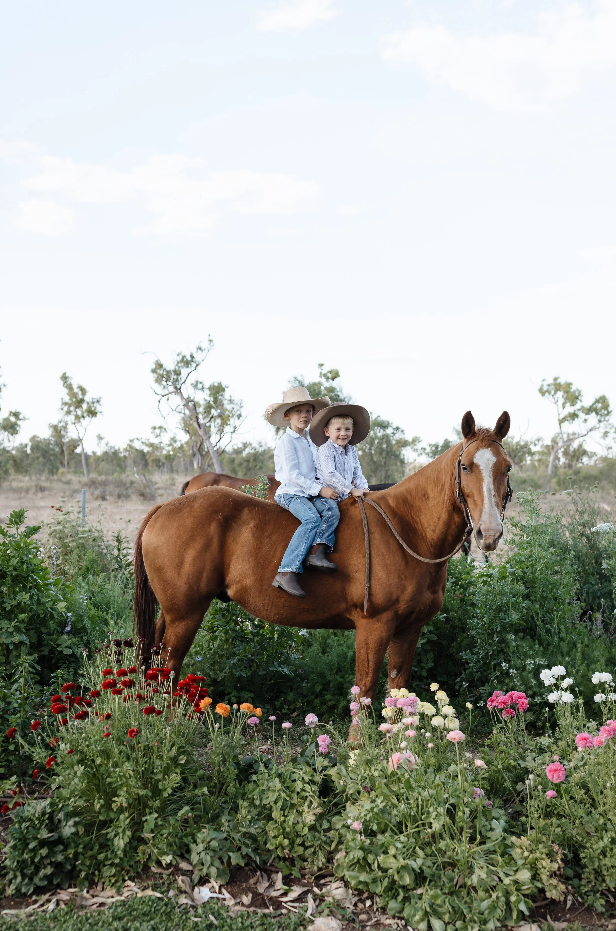 Two children wearing cowboy hats sitting on a brown horse in a garden with colorful flowers, trees, and a cloudy sky in the background.