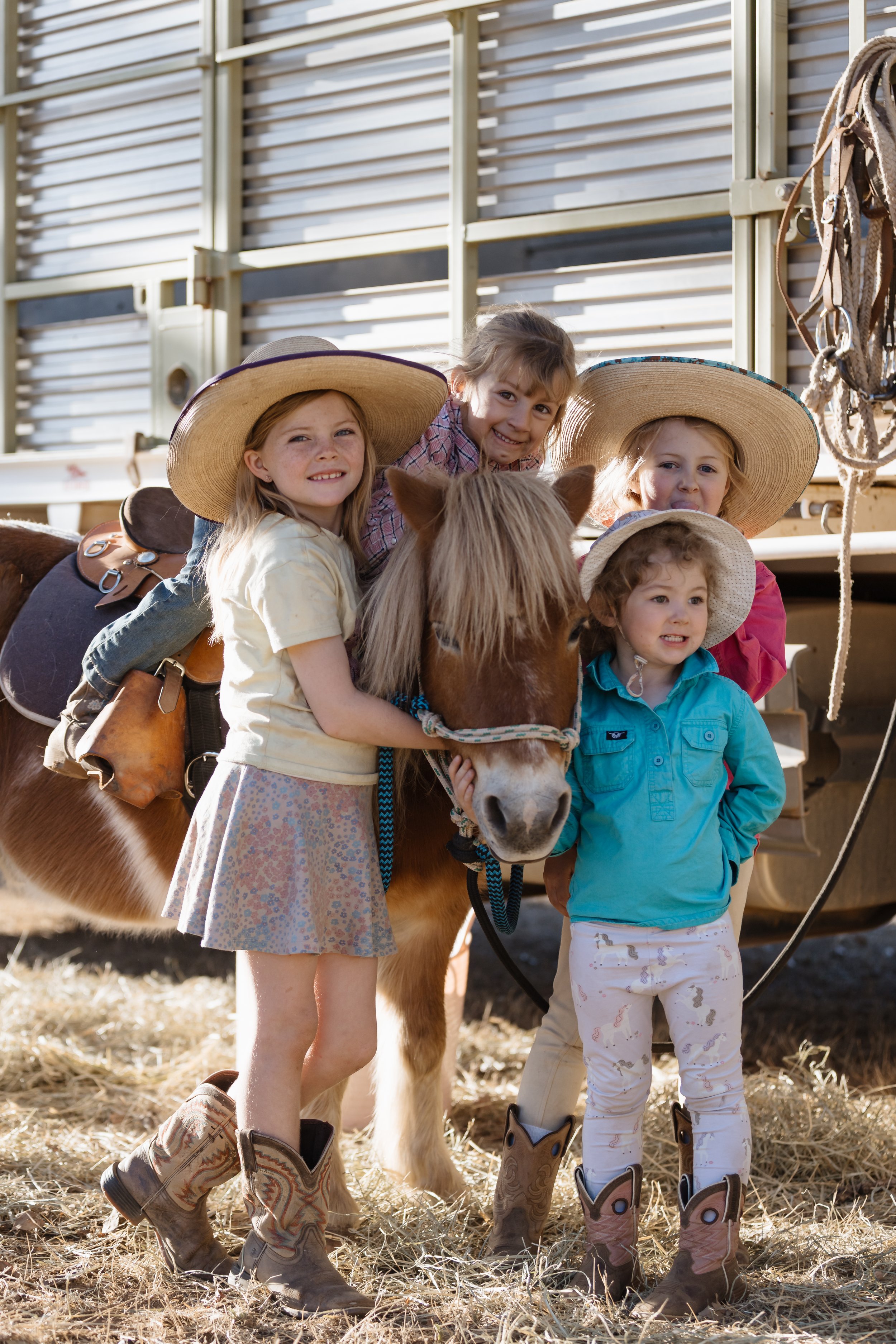 Four young girls in cowboy hats and boots riding a pony in a barn or stable area.