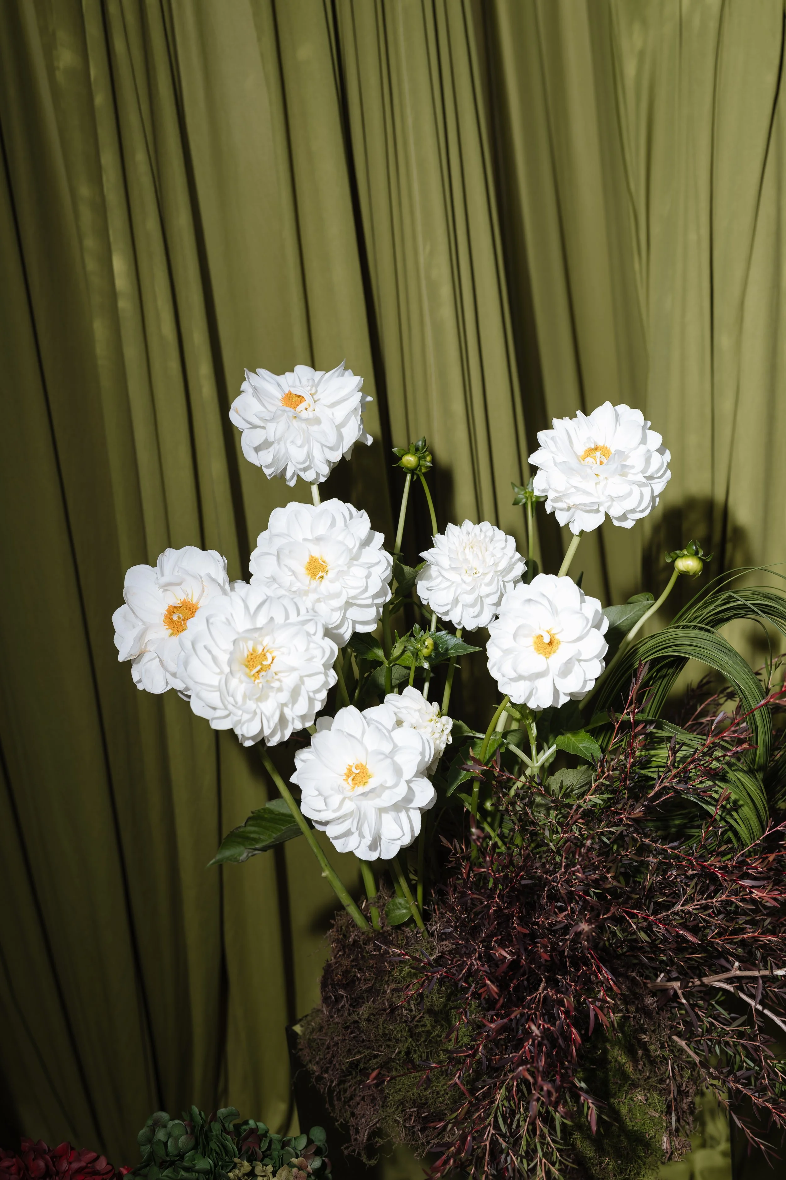White gardenias with yellow centers arranged among green and dark red foliage, set against a backdrop of vertical tan curtains.