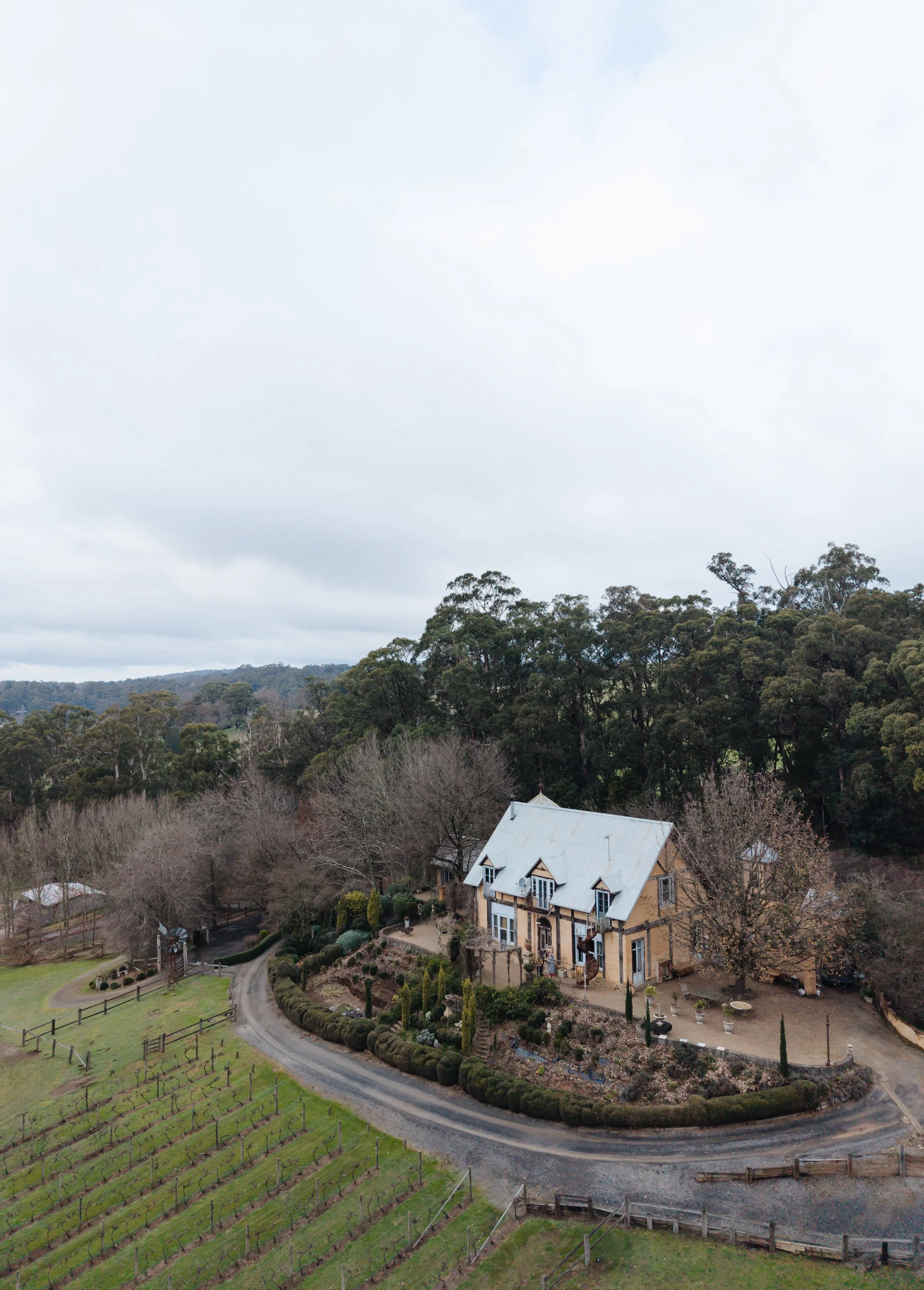A large house surrounded by trees and landscaping, located near a vineyard with rows of grapevines, across a winding road, with a wooded hillside in the background under an overcast sky.