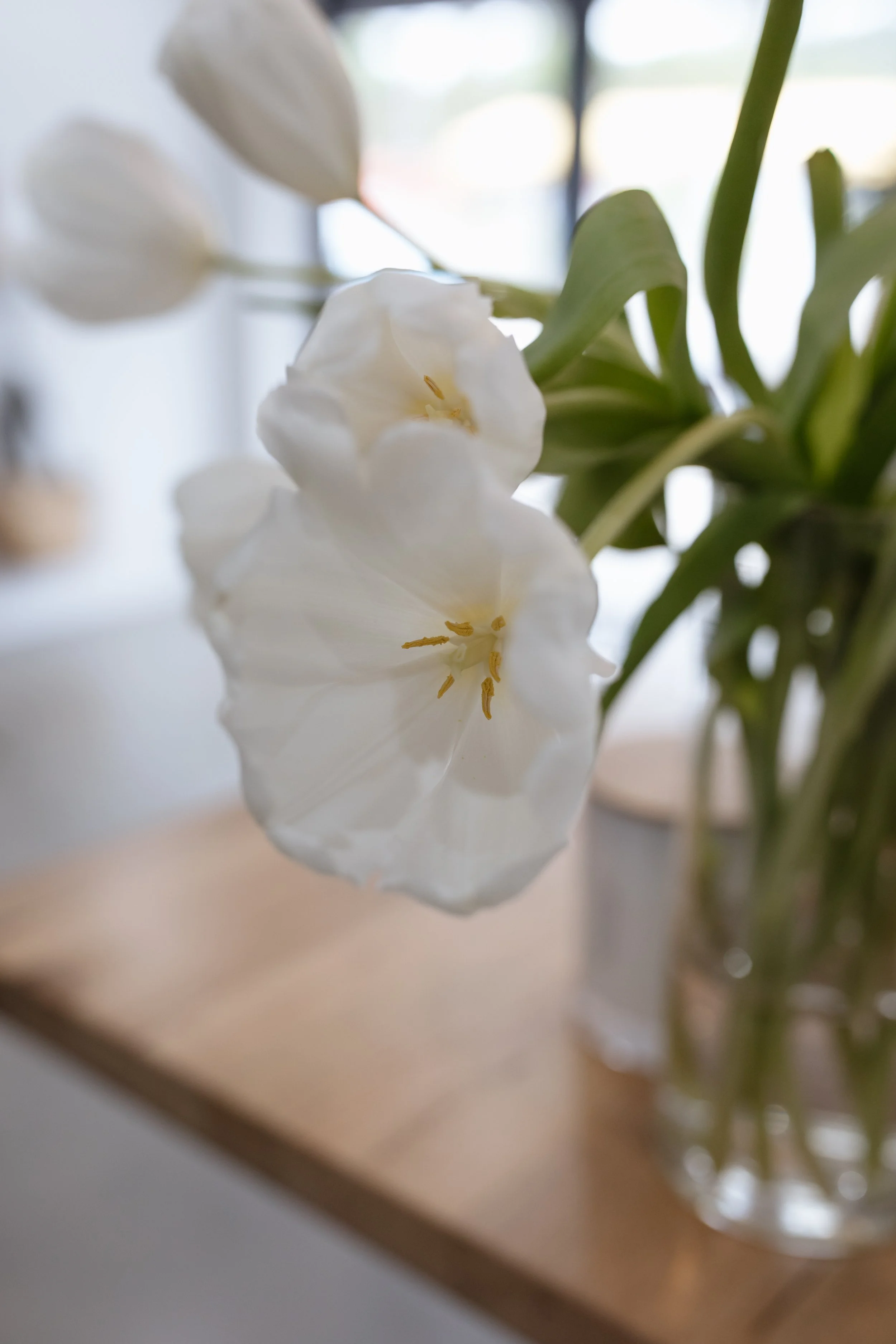 Close-up of white flowers with green leaves, blurred background, natural light.