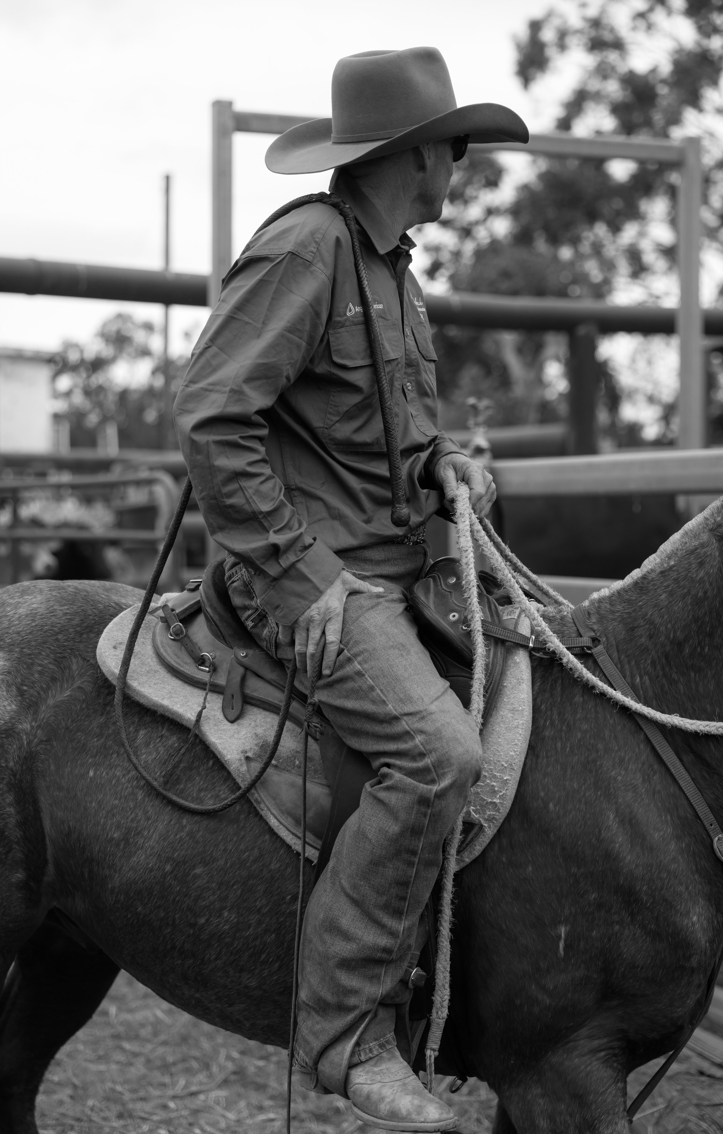 A person wearing a cowboy hat, long-sleeved shirt, and jeans riding a horse outdoors, holding the reins.