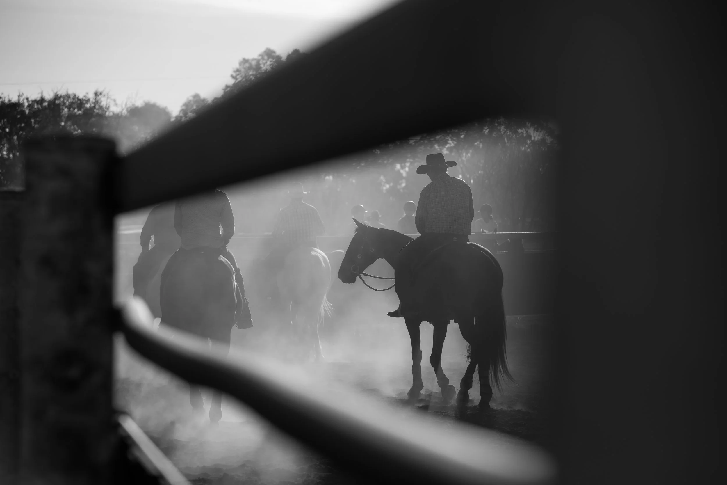 Black and white photo of a group of people and horses, seen through a slatted window or fence, with blurred background of trees and sky, and one person wearing a cowboy hat.