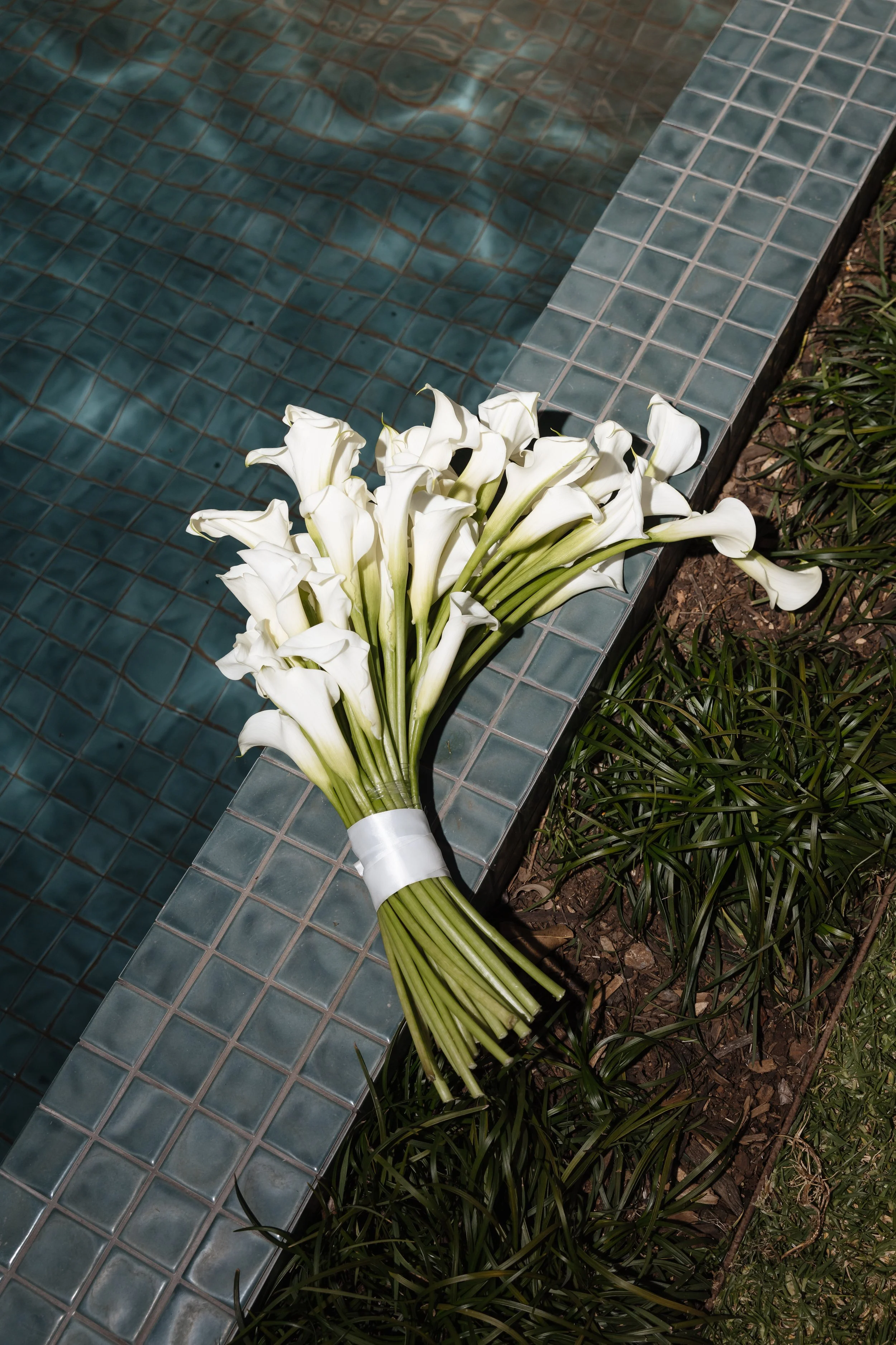 Bouquet of white calla lilies resting on the edge of a tiled pool with greenery and soil nearby.