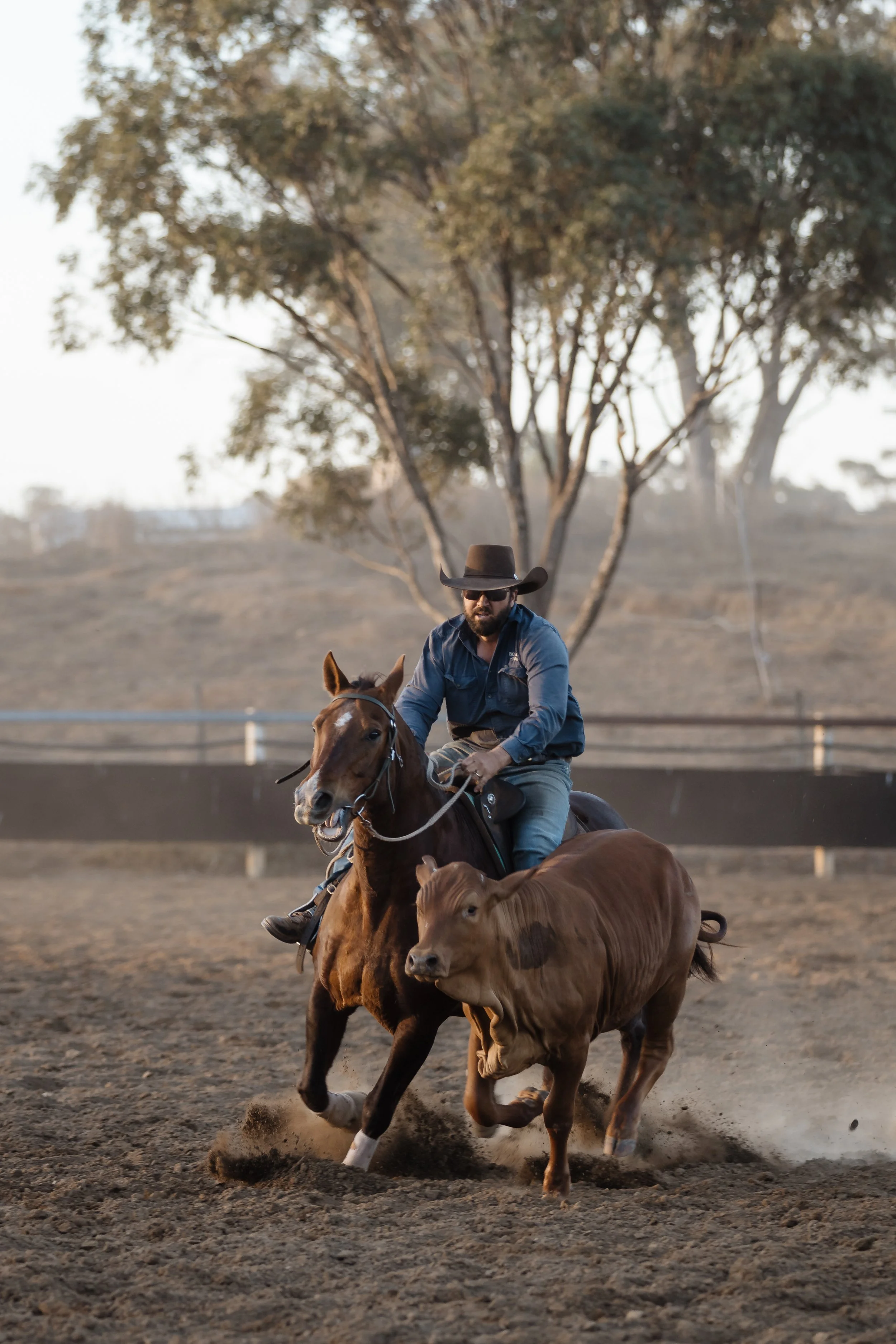 A cowboy riding a brown horse, herding cattle in an outdoor rodeo or ranch setting with trees in the background and dirt kicking up from the horse's hooves.