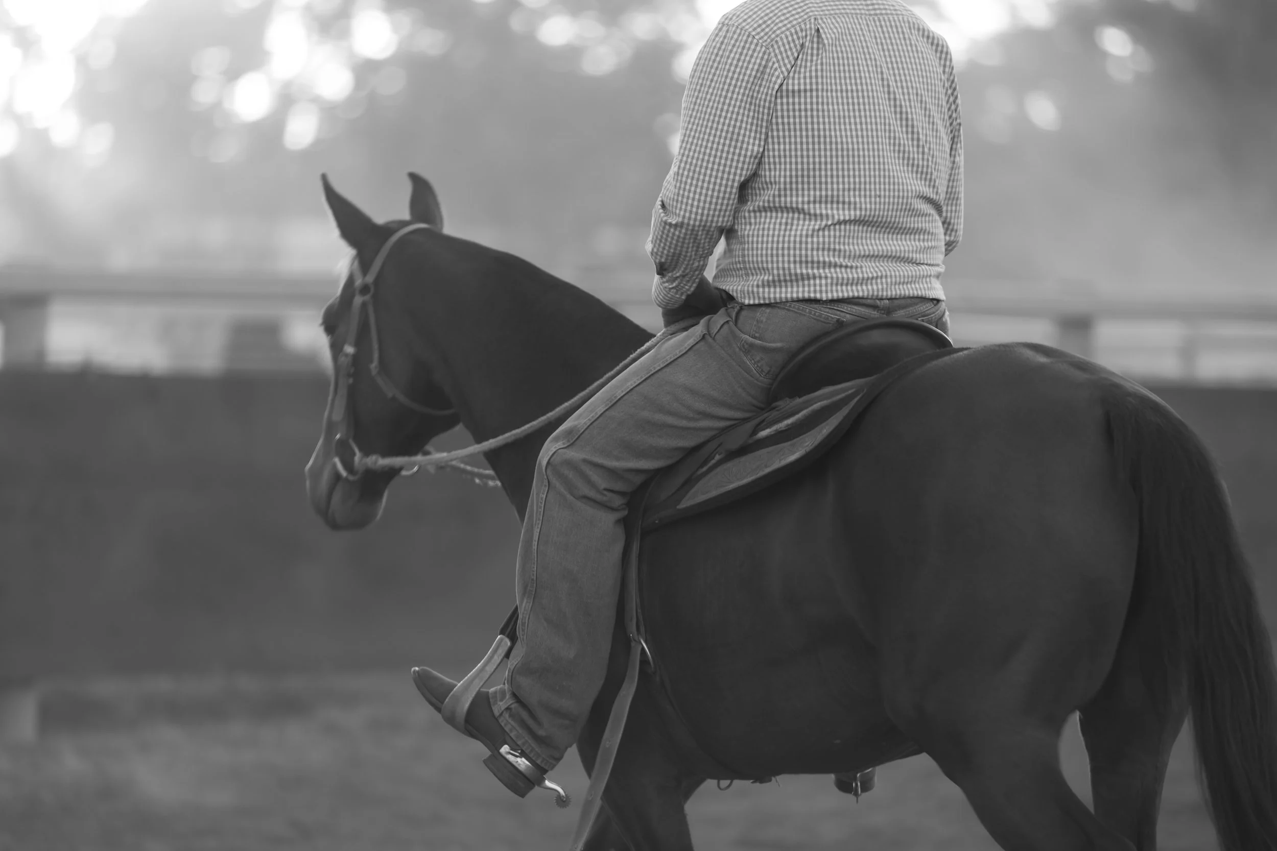 A person riding a horse outdoors, wearing a checkered shirt and jeans, with a blurred background.
