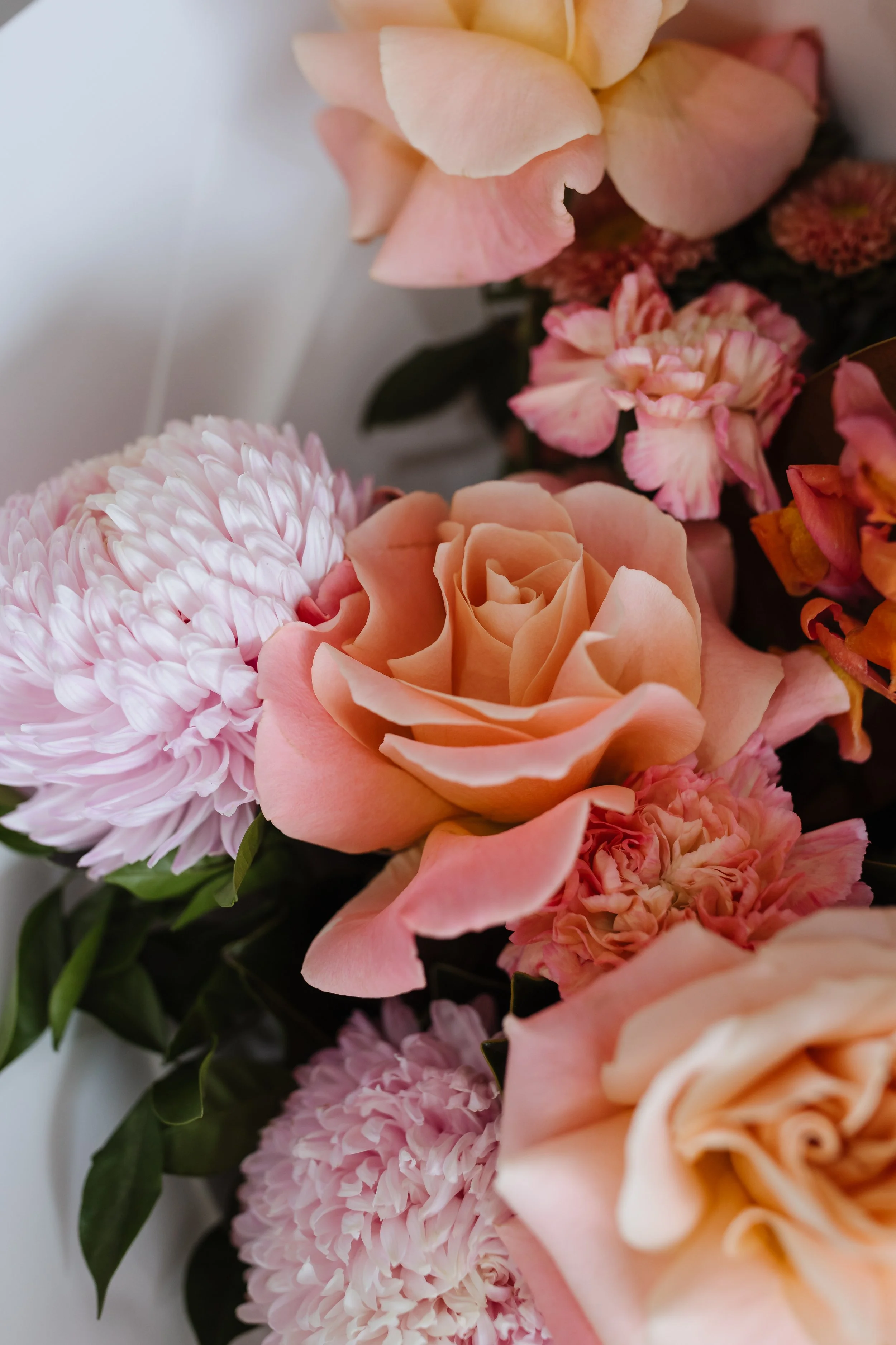 Close-up of a bouquet with pink and peach roses, pink carnations, and a white chrysanthemum, with green leaves.