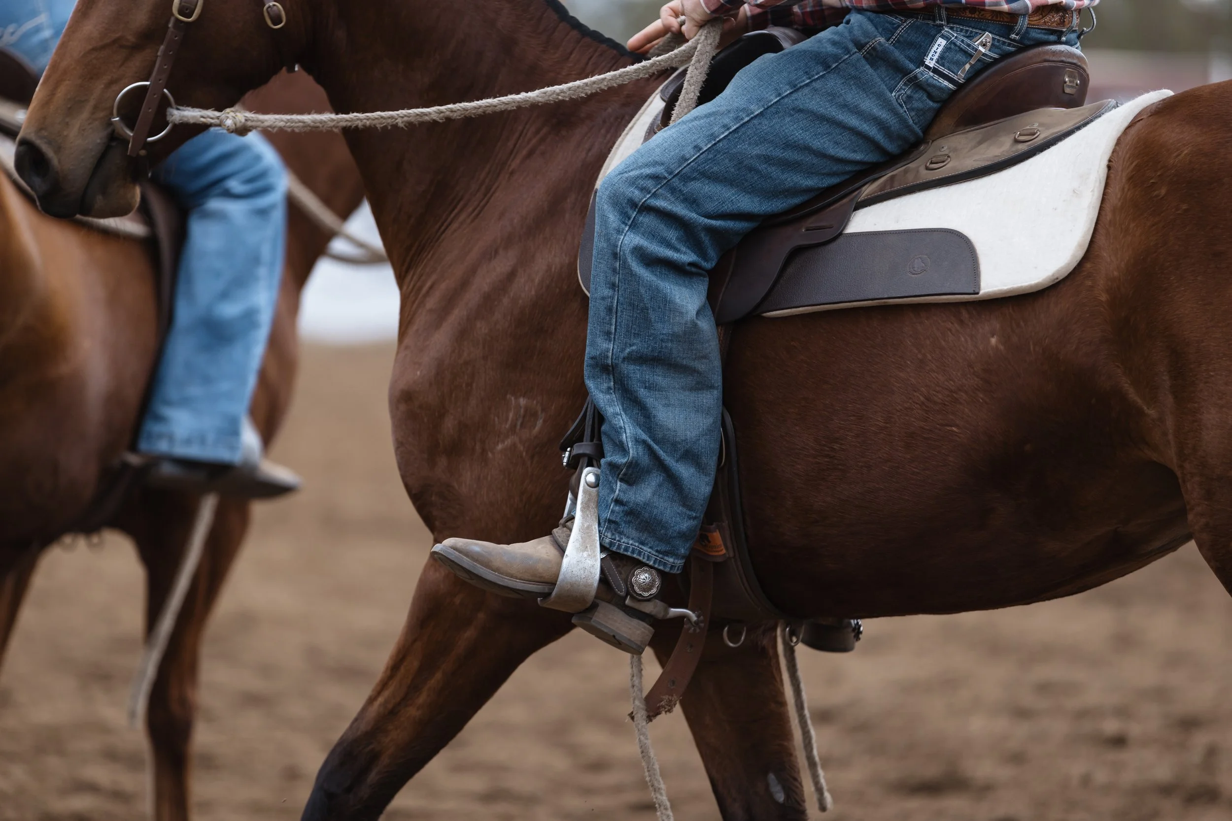 A person riding a brown horse, wearing blue jeans and western-style boots, with a saddle and reins on the horse.