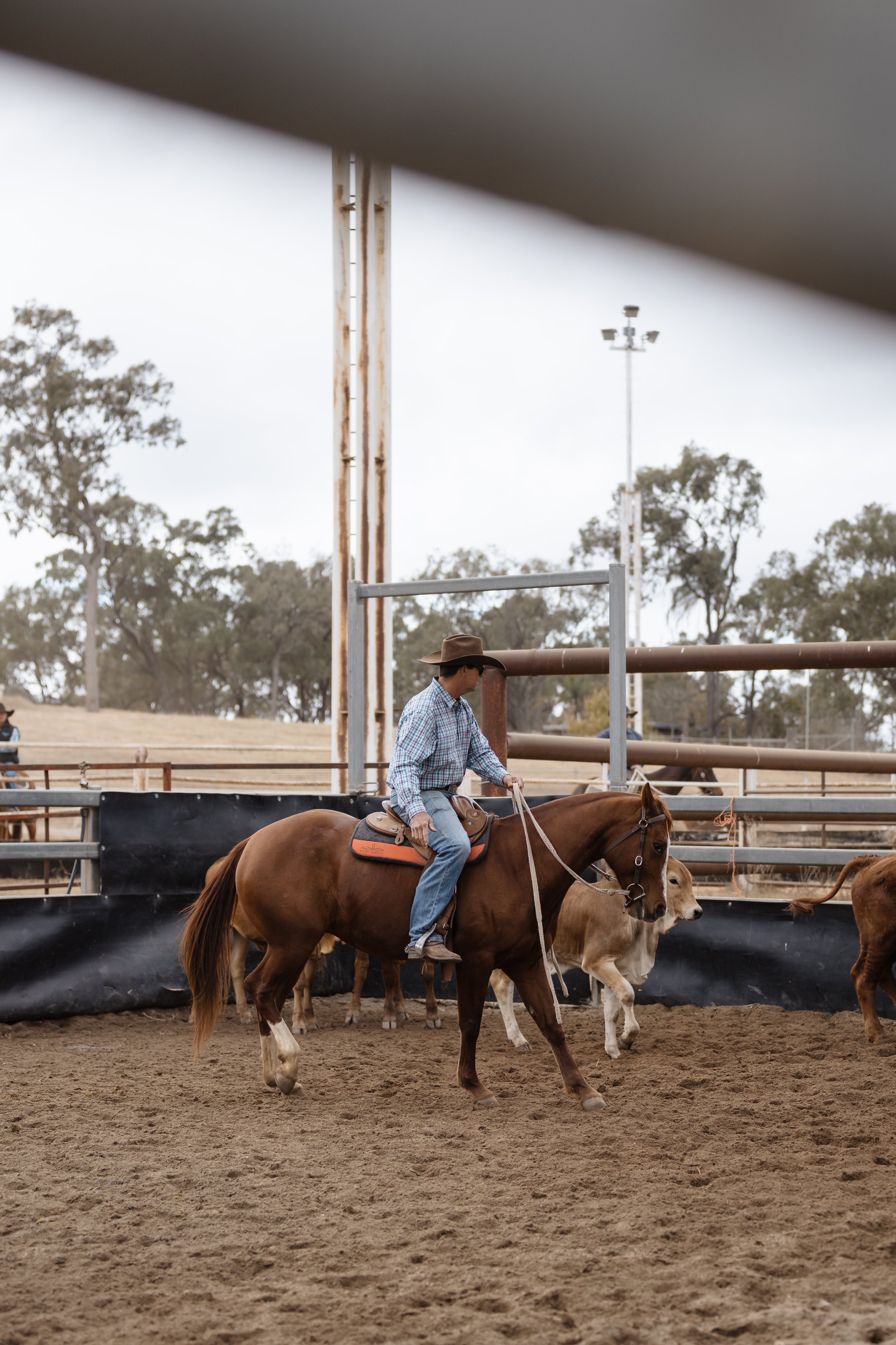 Person in cowboy hat riding a horse at an outdoor cattle farm with fencing and other horses present.